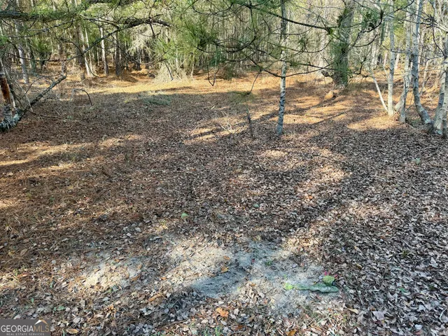 $550,000 | 571 Sanders Cemetery Road, Chauncey, GA 31011