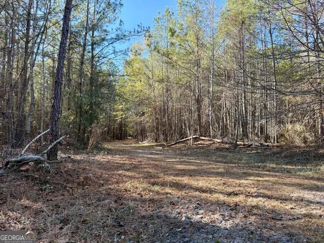 $550,000 | 571 Sanders Cemetery Road, Chauncey, GA 31011