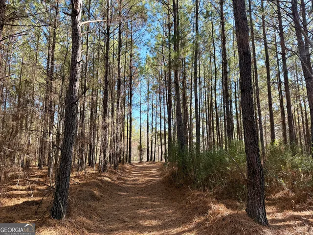 $550,000 | 571 Sanders Cemetery Road, Chauncey, GA 31011