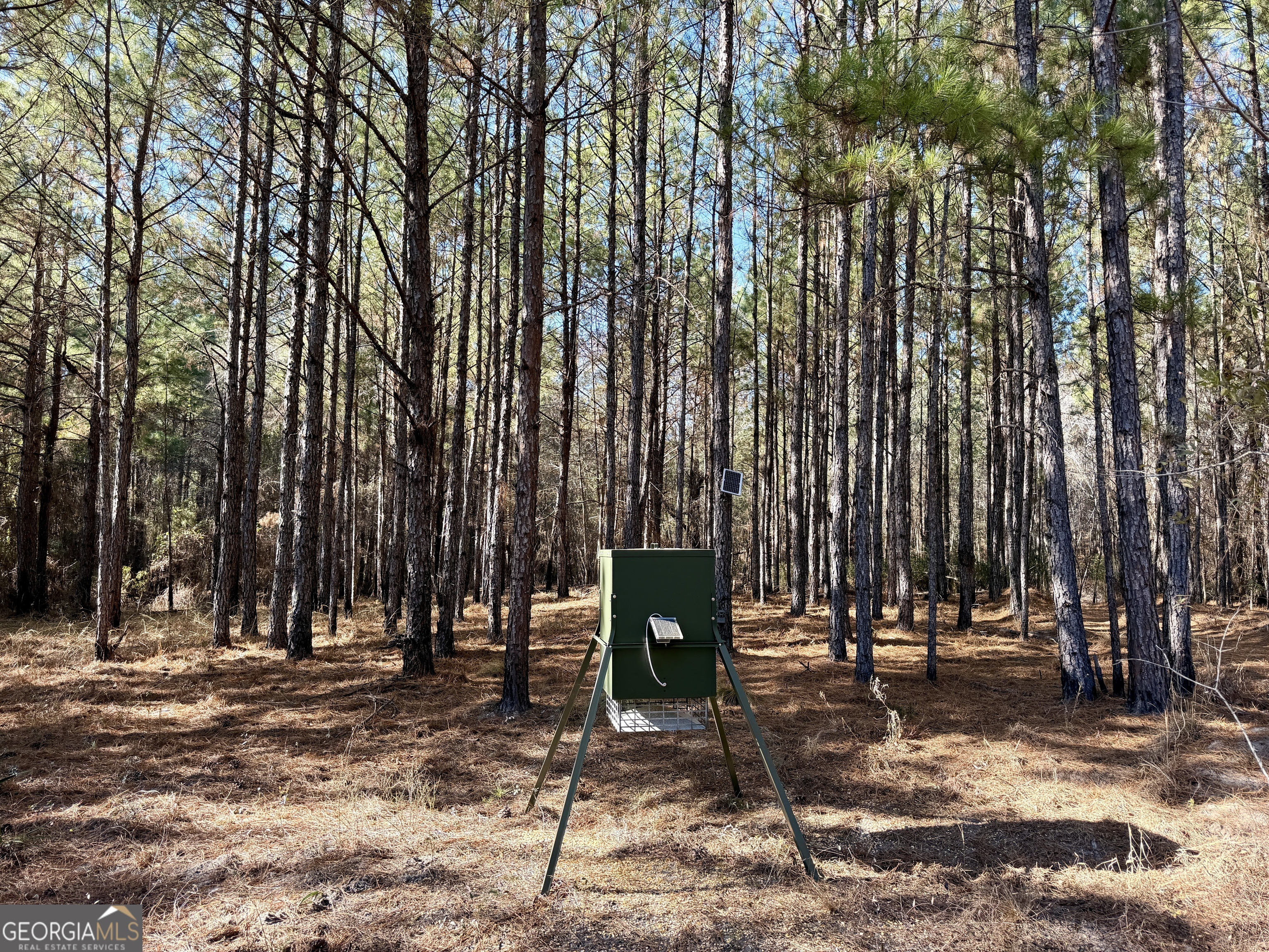 571 Sanders Cemetery Road Chauncey, GA 31011 - Photo 105 of 107 a view of outdoor space with street view