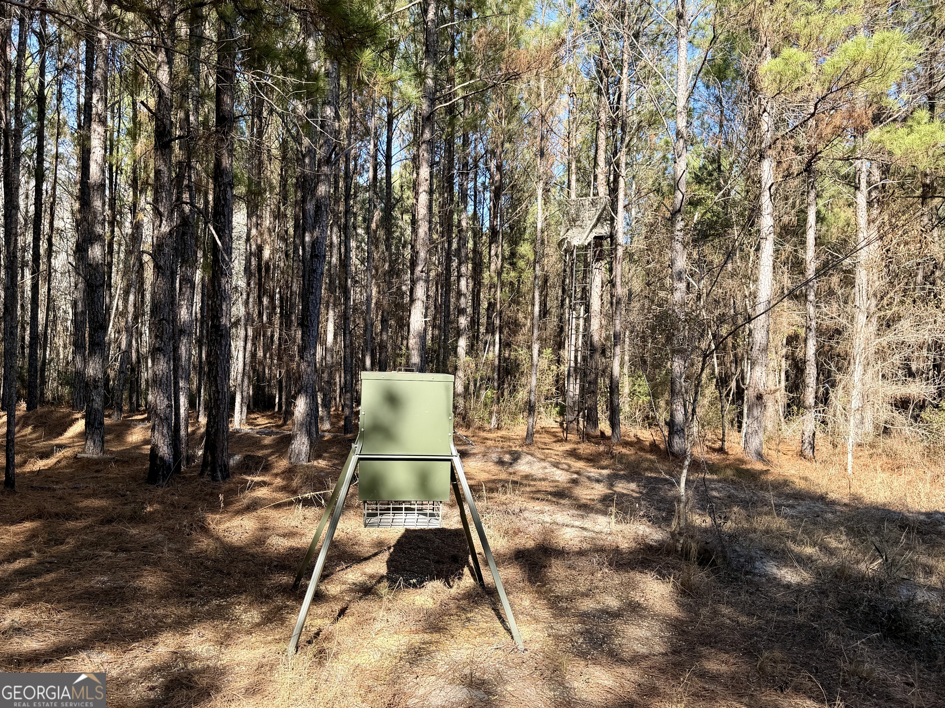 571 Sanders Cemetery Road Chauncey, GA 31011 - Photo 106 of 107