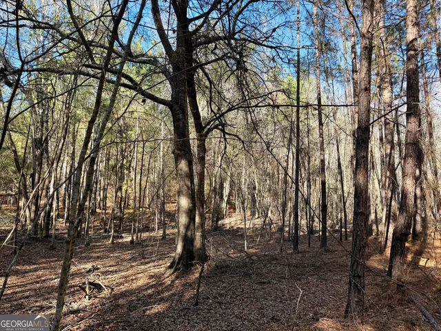 $550,000 | 571 Sanders Cemetery Road, Chauncey, GA 31011