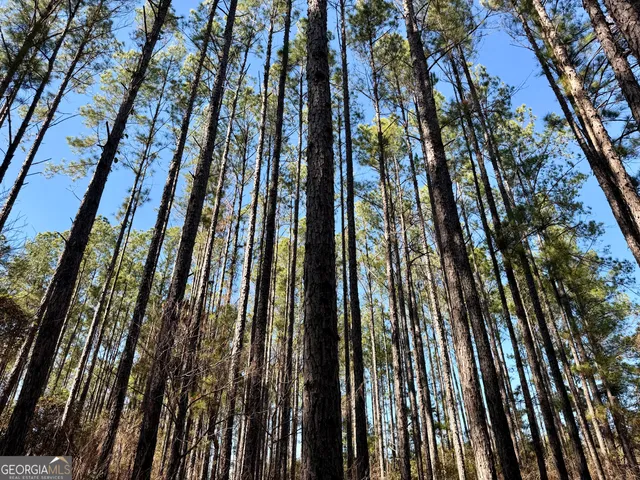 a view of a backyard with swimming pool