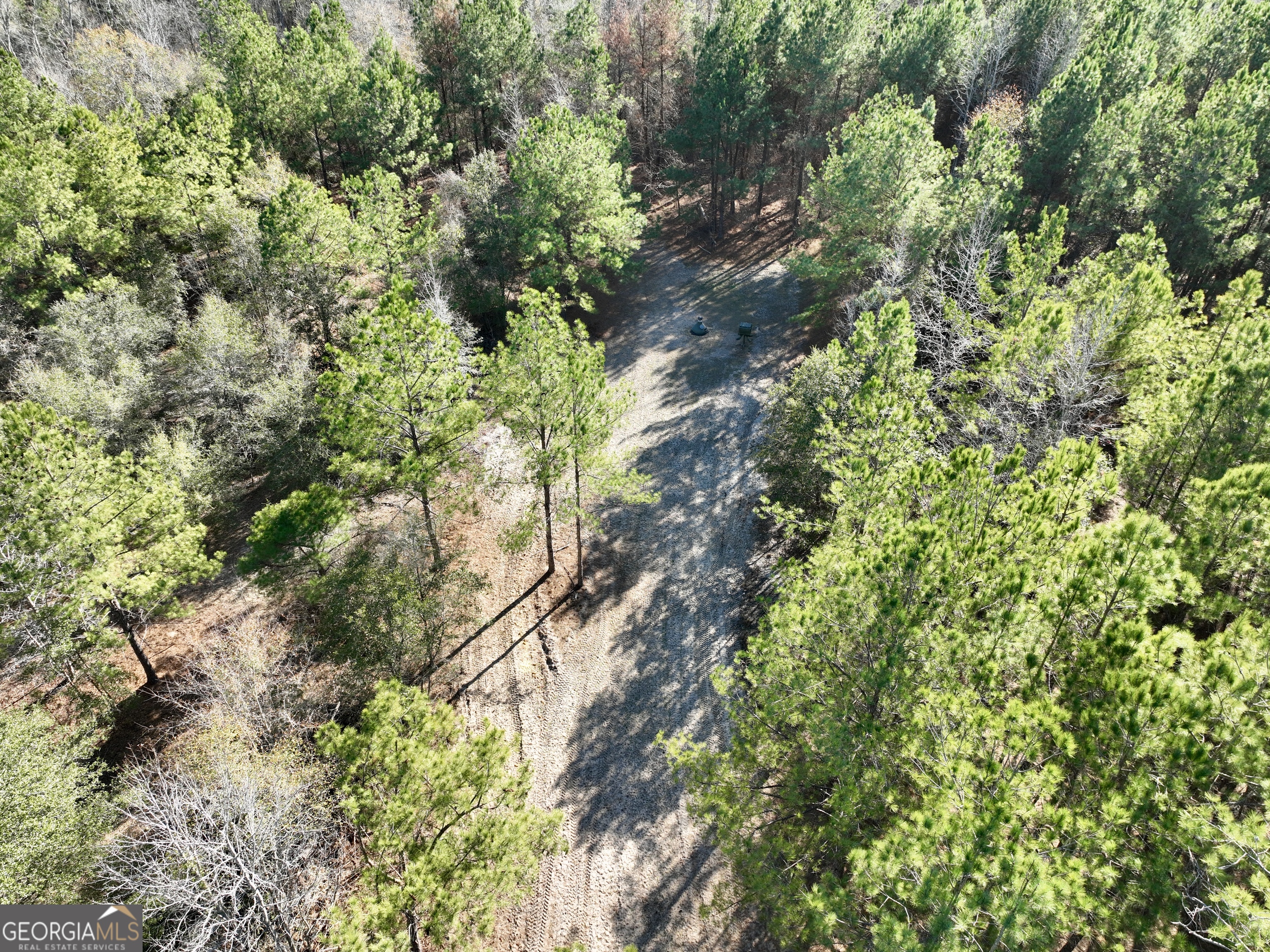 571 Sanders Cemetery Road Chauncey, GA 31011 - Photo 12 of 107