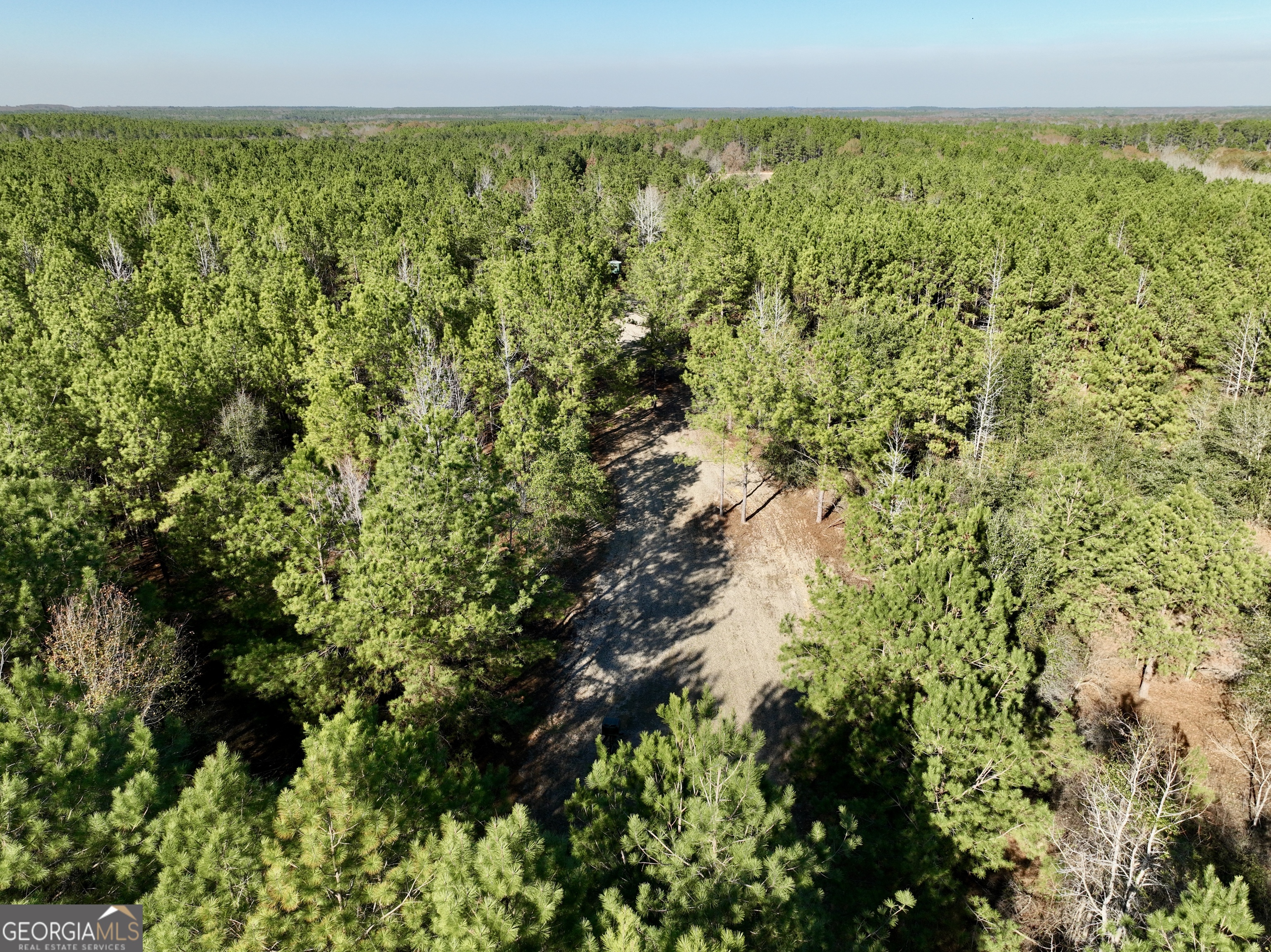 571 Sanders Cemetery Road Chauncey, GA 31011 - Photo 17 of 107