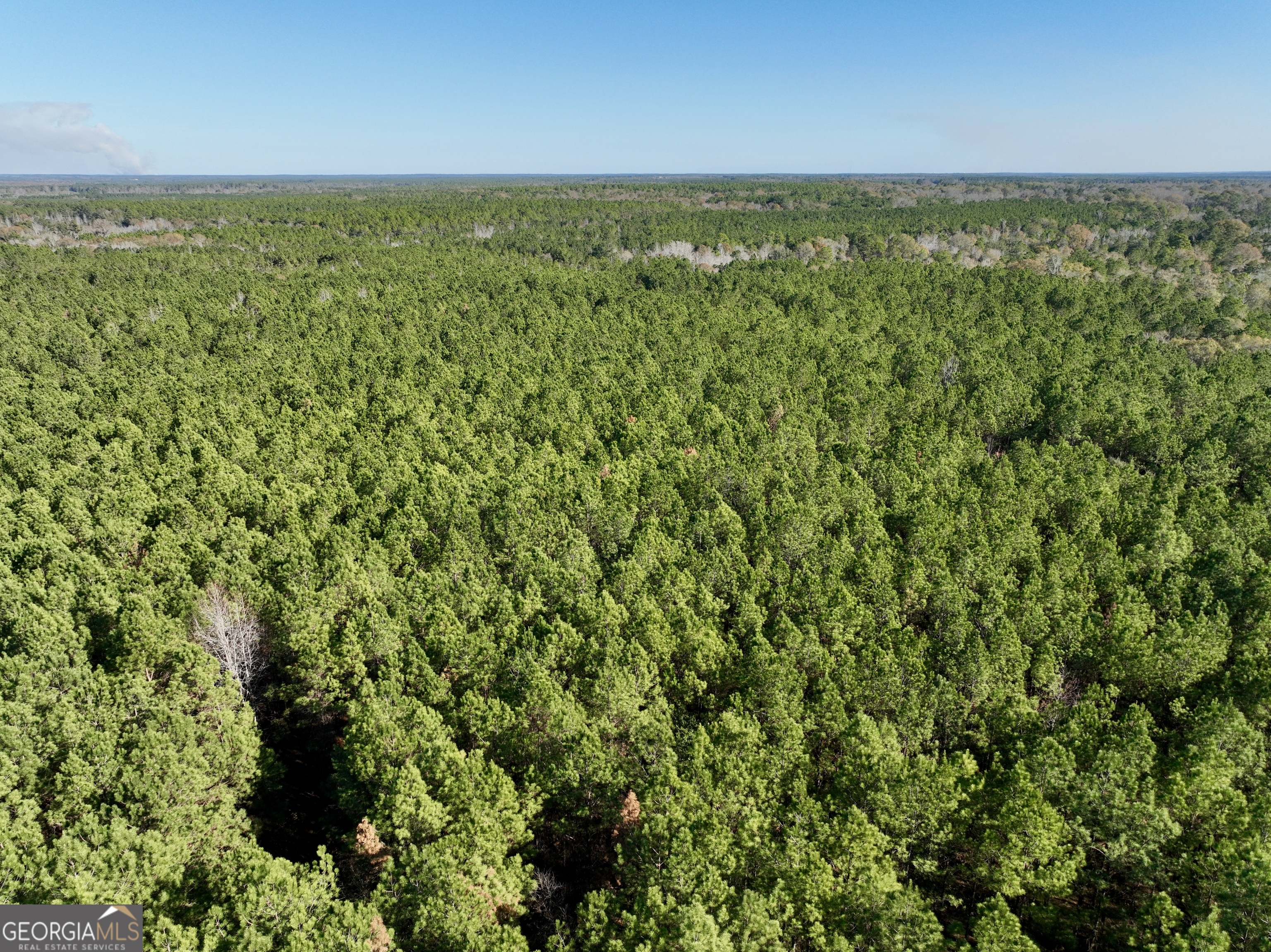 571 Sanders Cemetery Road Chauncey, GA 31011 - Photo 18 of 107 a view of a field with an outdoor space