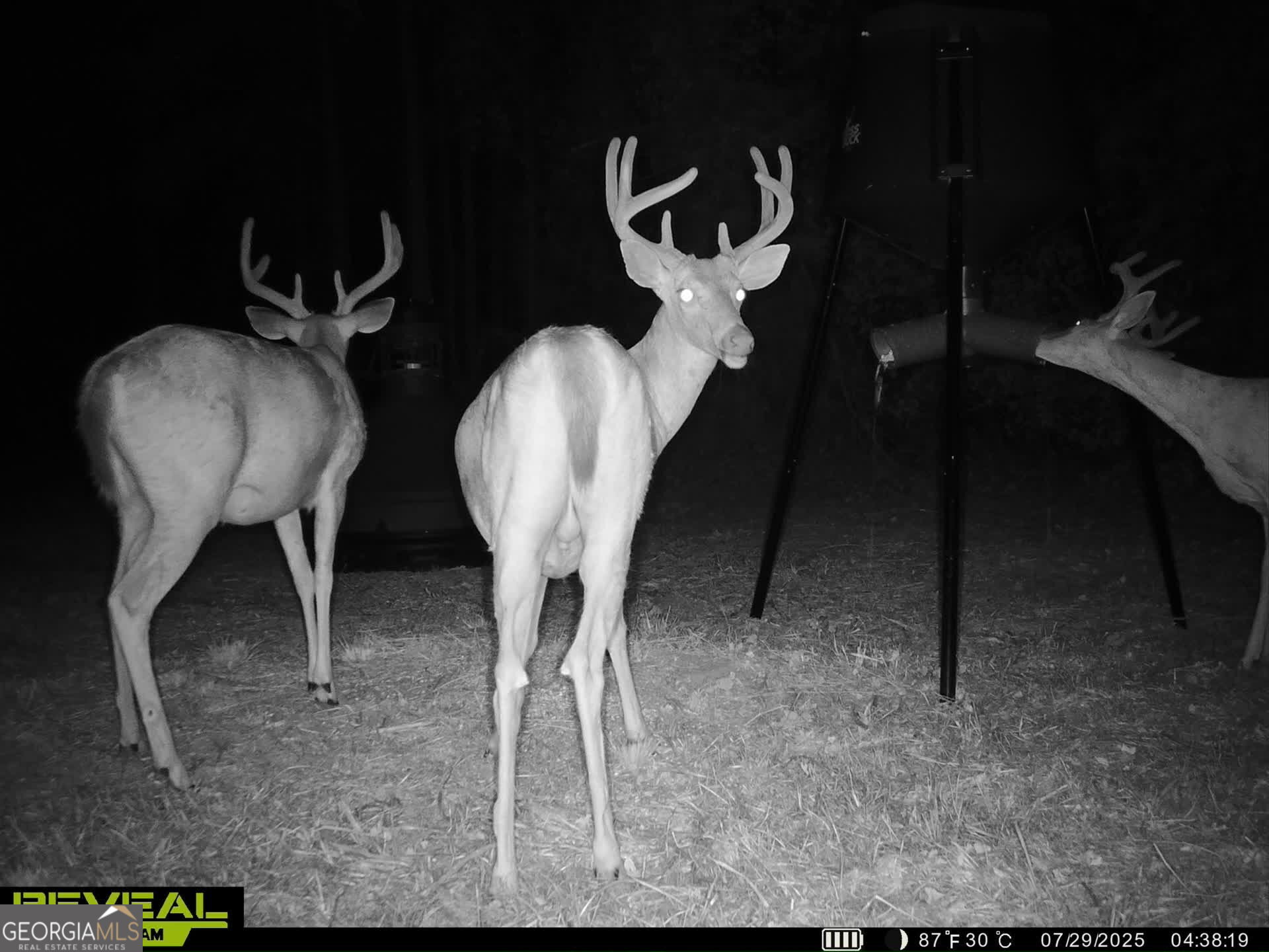 571 Sanders Cemetery Road Chauncey, GA 31011 - Photo 19 of 107