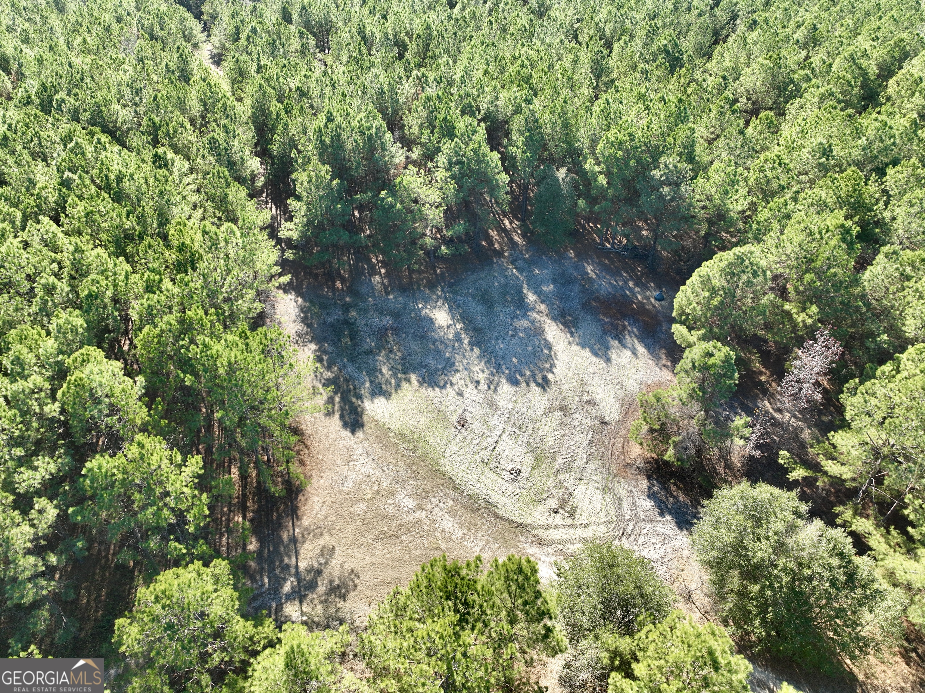 571 Sanders Cemetery Road Chauncey, GA 31011 - Photo 20 of 107
