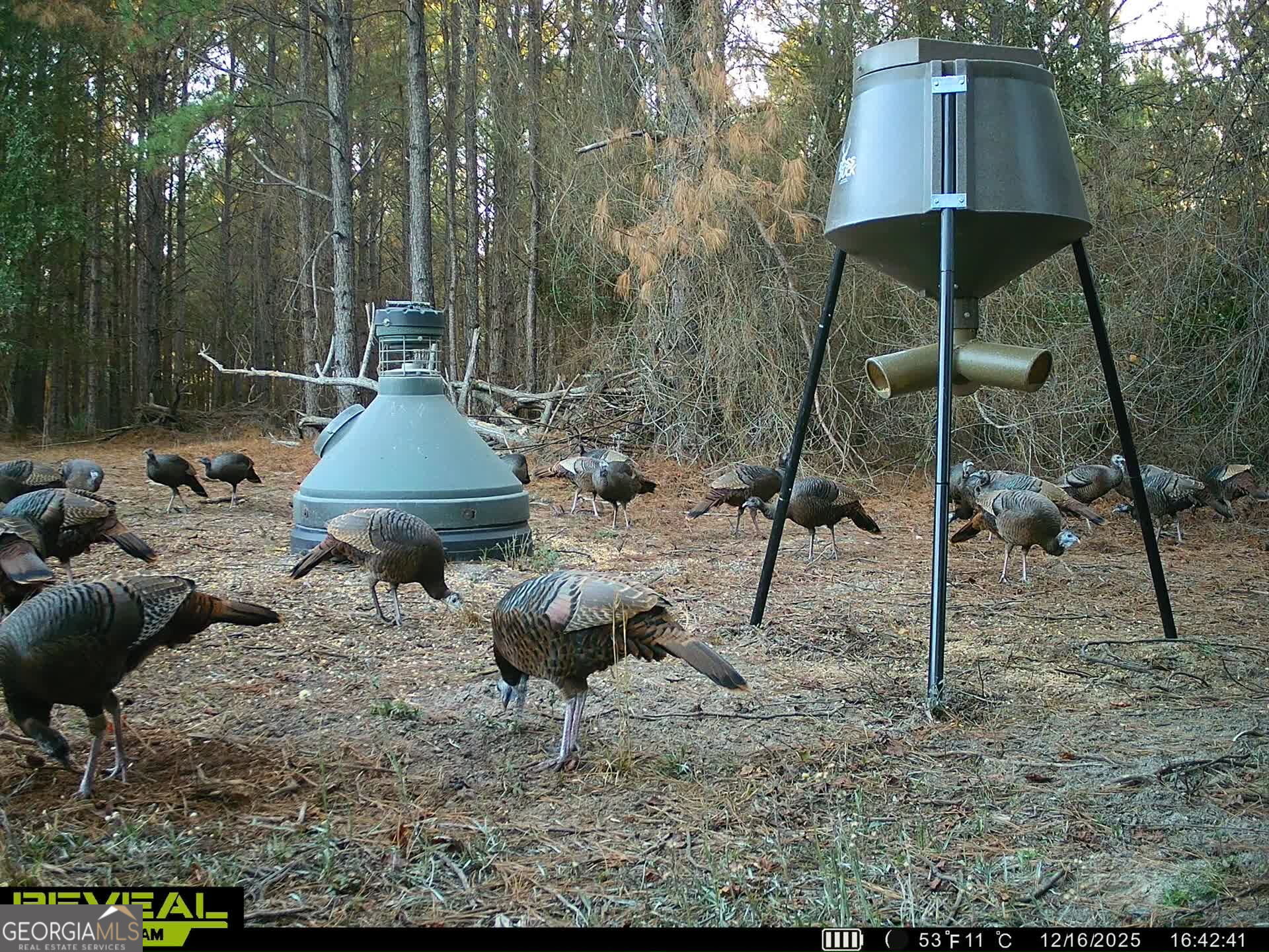 571 Sanders Cemetery Road Chauncey, GA 31011 - Photo 21 of 107 a backyard of a house with table and chairs