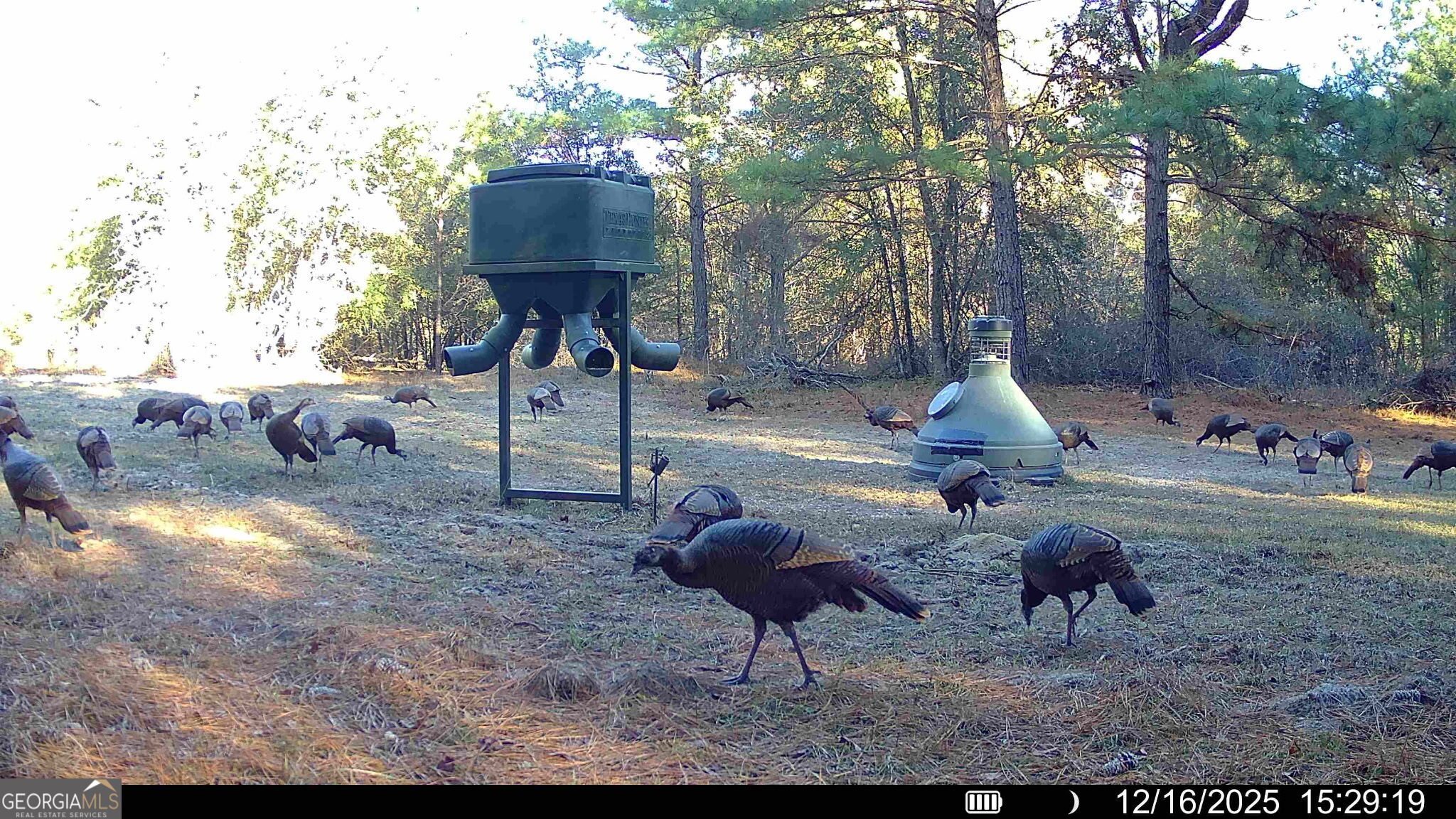 571 Sanders Cemetery Road Chauncey, GA 31011 - Photo 23 of 107