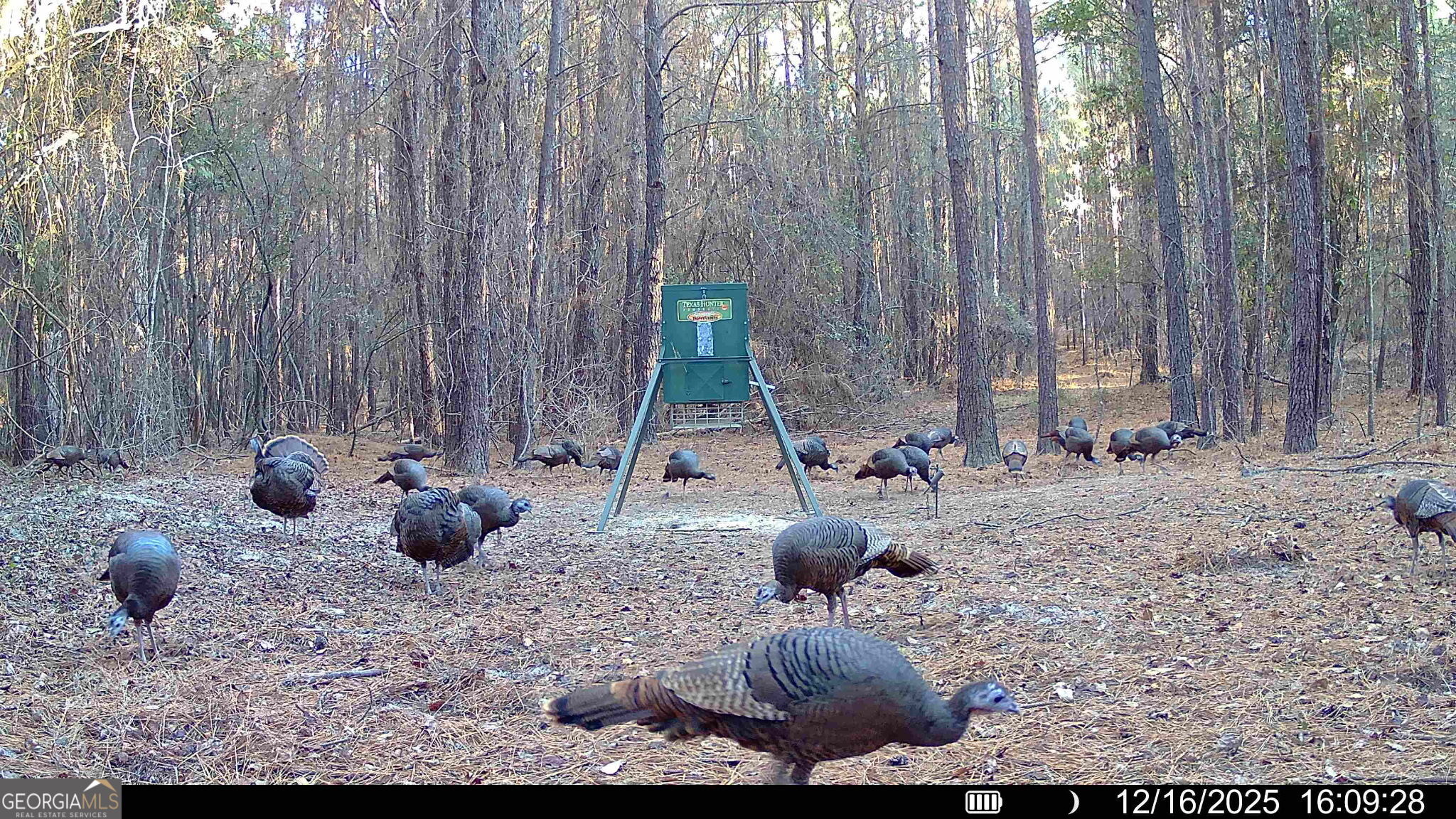571 Sanders Cemetery Road Chauncey, GA 31011 - Photo 24 of 107 a view of outdoor space with sitting area