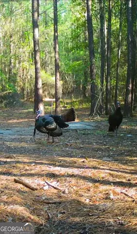 a view of a room with wooden fence