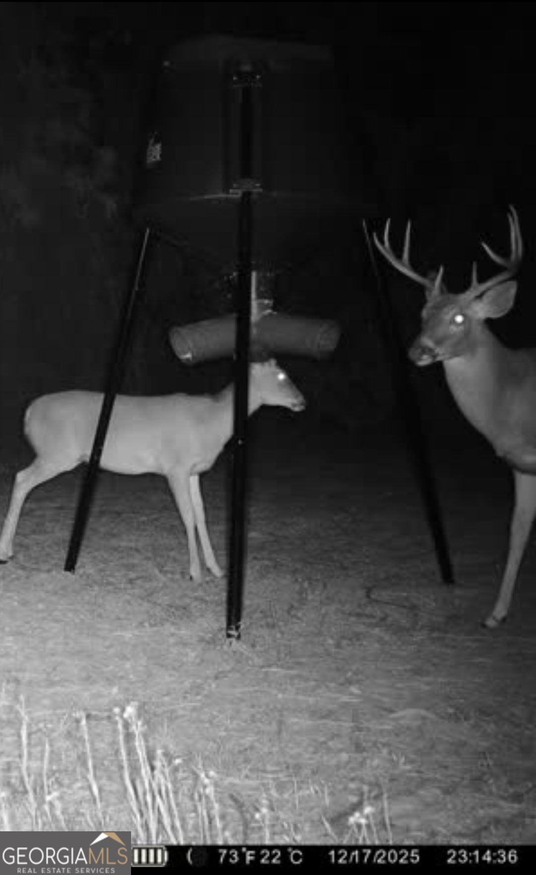 571 Sanders Cemetery Road Chauncey, GA 31011 - Photo 28 of 107