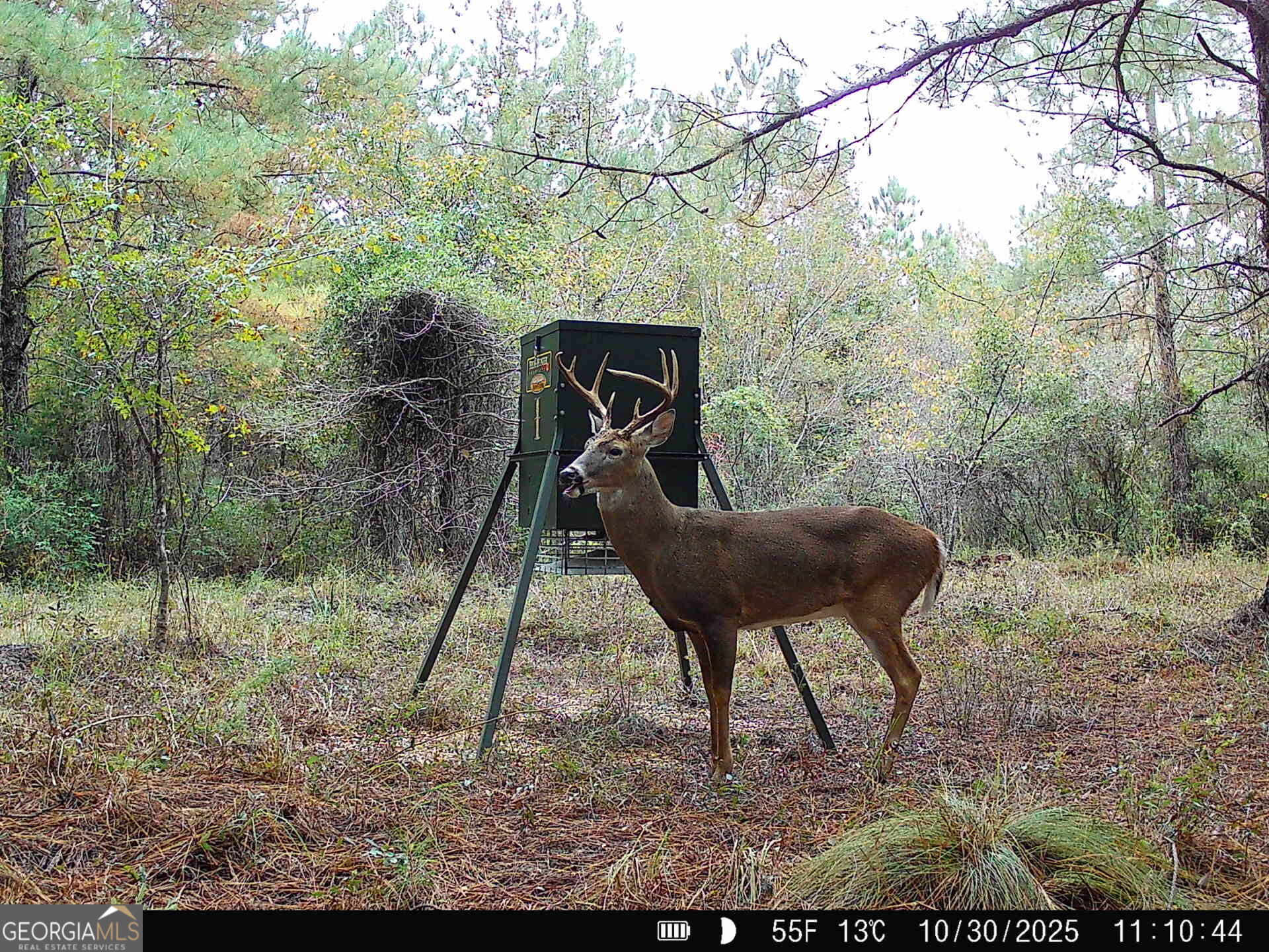 571 Sanders Cemetery Road Chauncey, GA 31011 - Photo 29 of 107 a backyard of a house with table and chairs