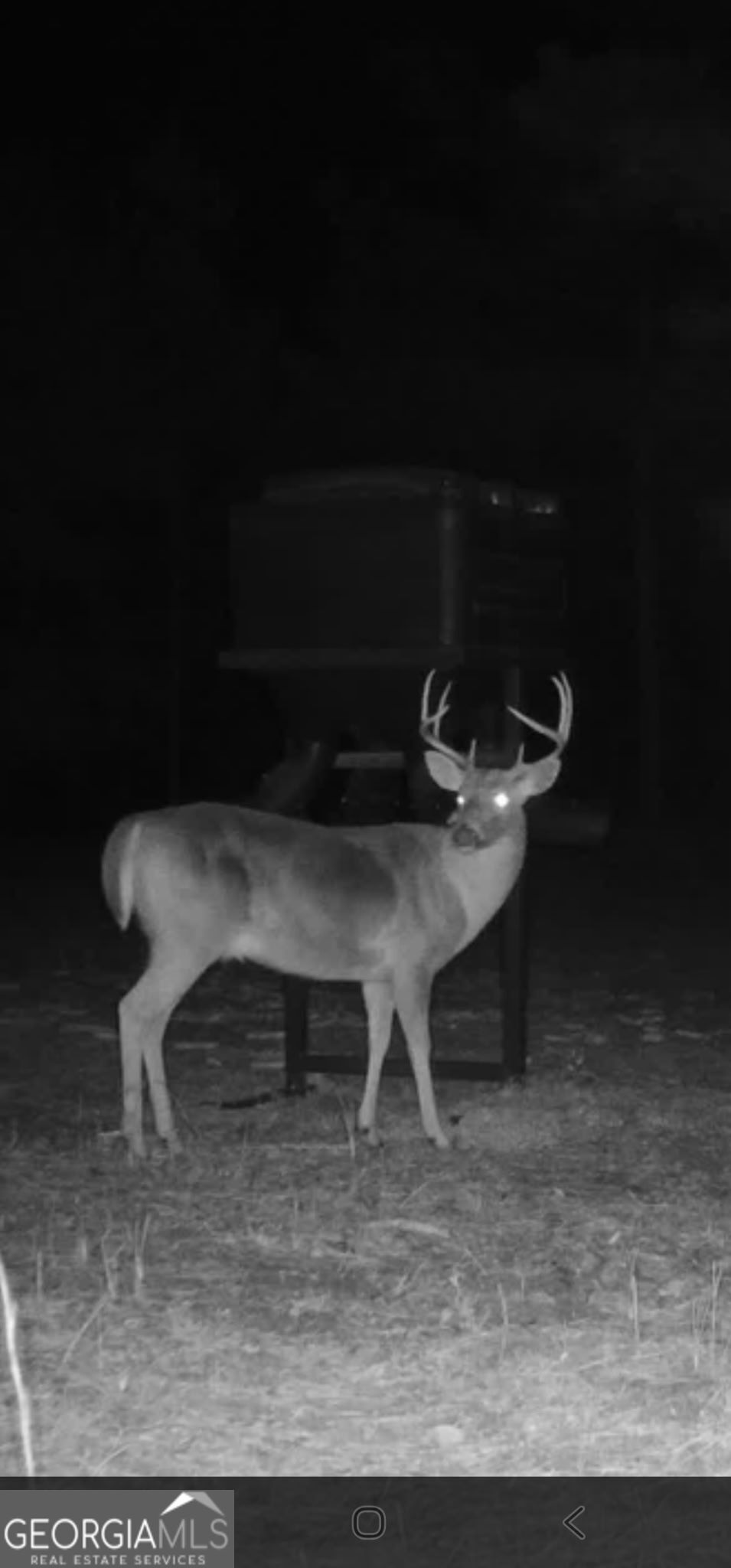 571 Sanders Cemetery Road Chauncey, GA 31011 - Photo 30 of 107 a view of a chairs and table in a room