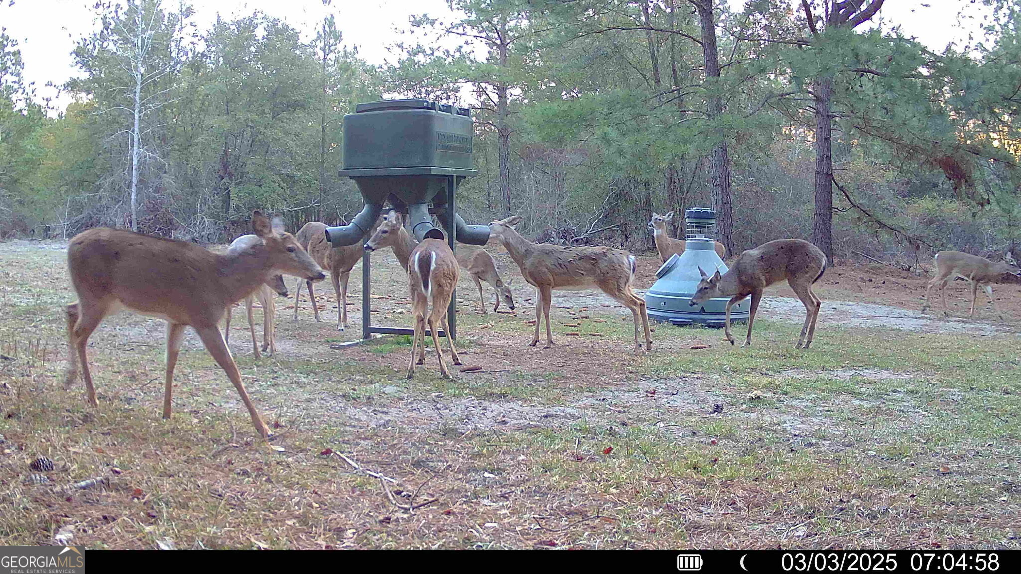571 Sanders Cemetery Road Chauncey, GA 31011 - Photo 31 of 107 a view of a two chairs in a yard