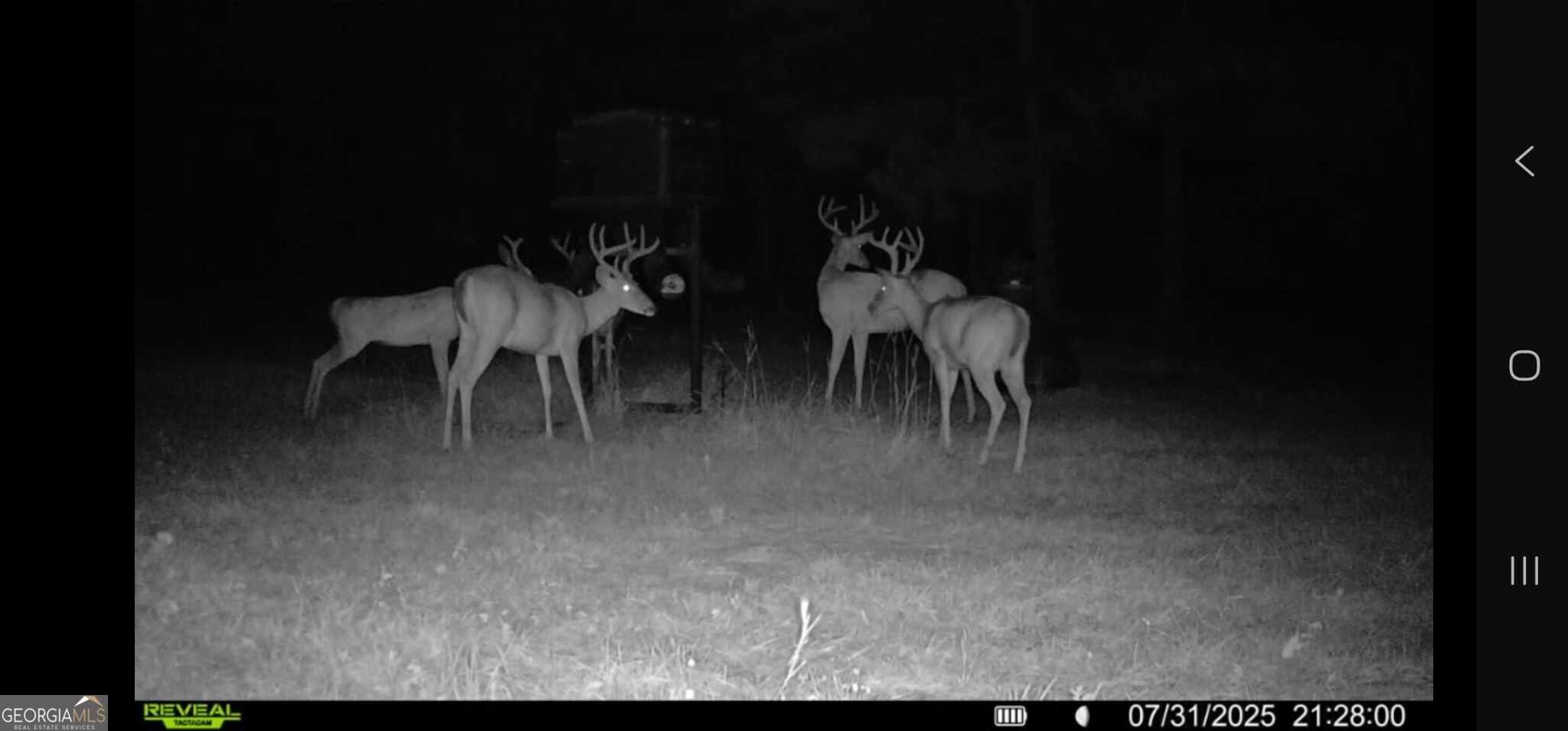 571 Sanders Cemetery Road Chauncey, GA 31011 - Photo 32 of 107 a view of dinning table and chairs in patio