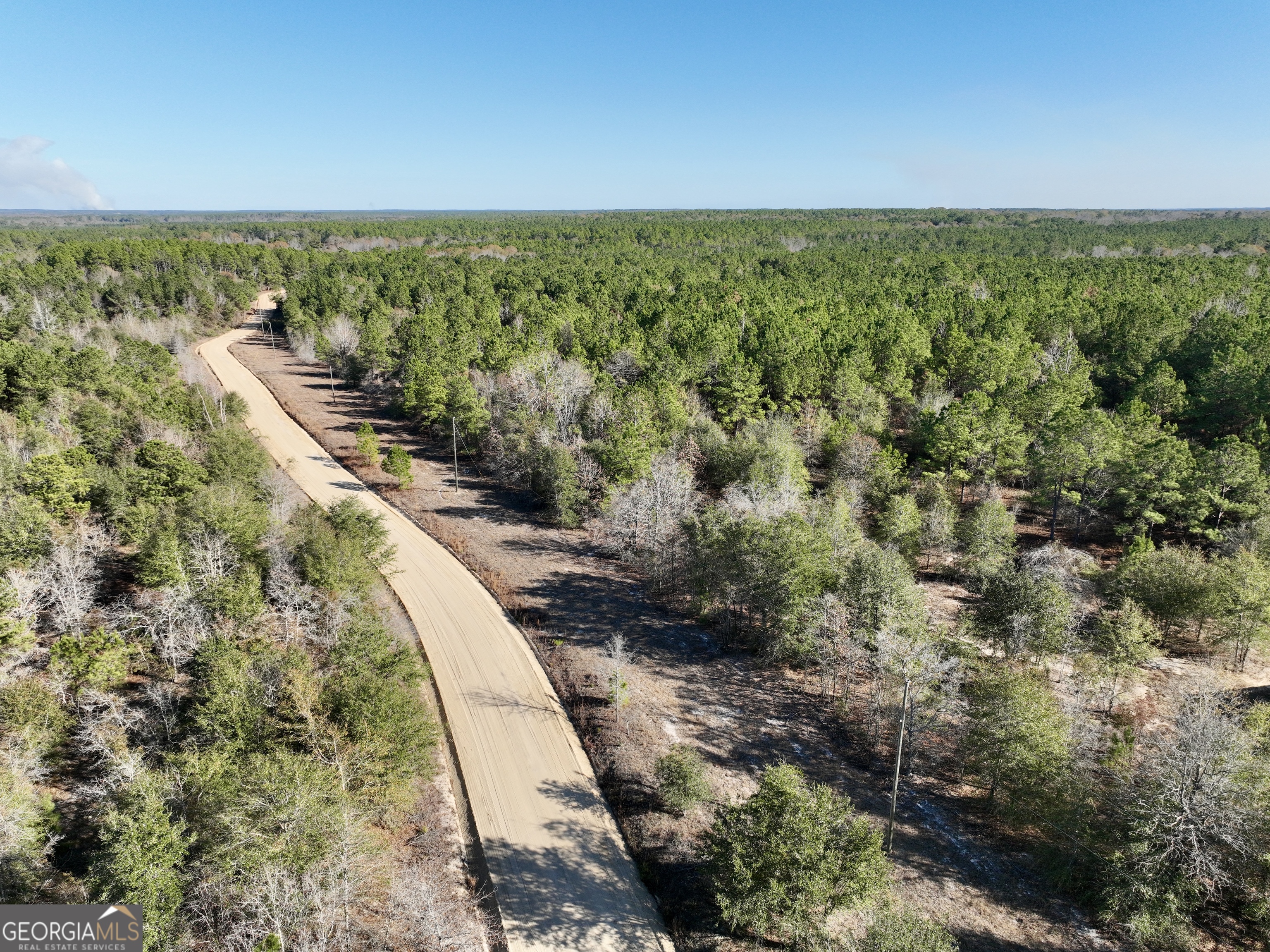 571 Sanders Cemetery Road Chauncey, GA 31011 - Photo 34 of 107 a view of a yard with an ocean