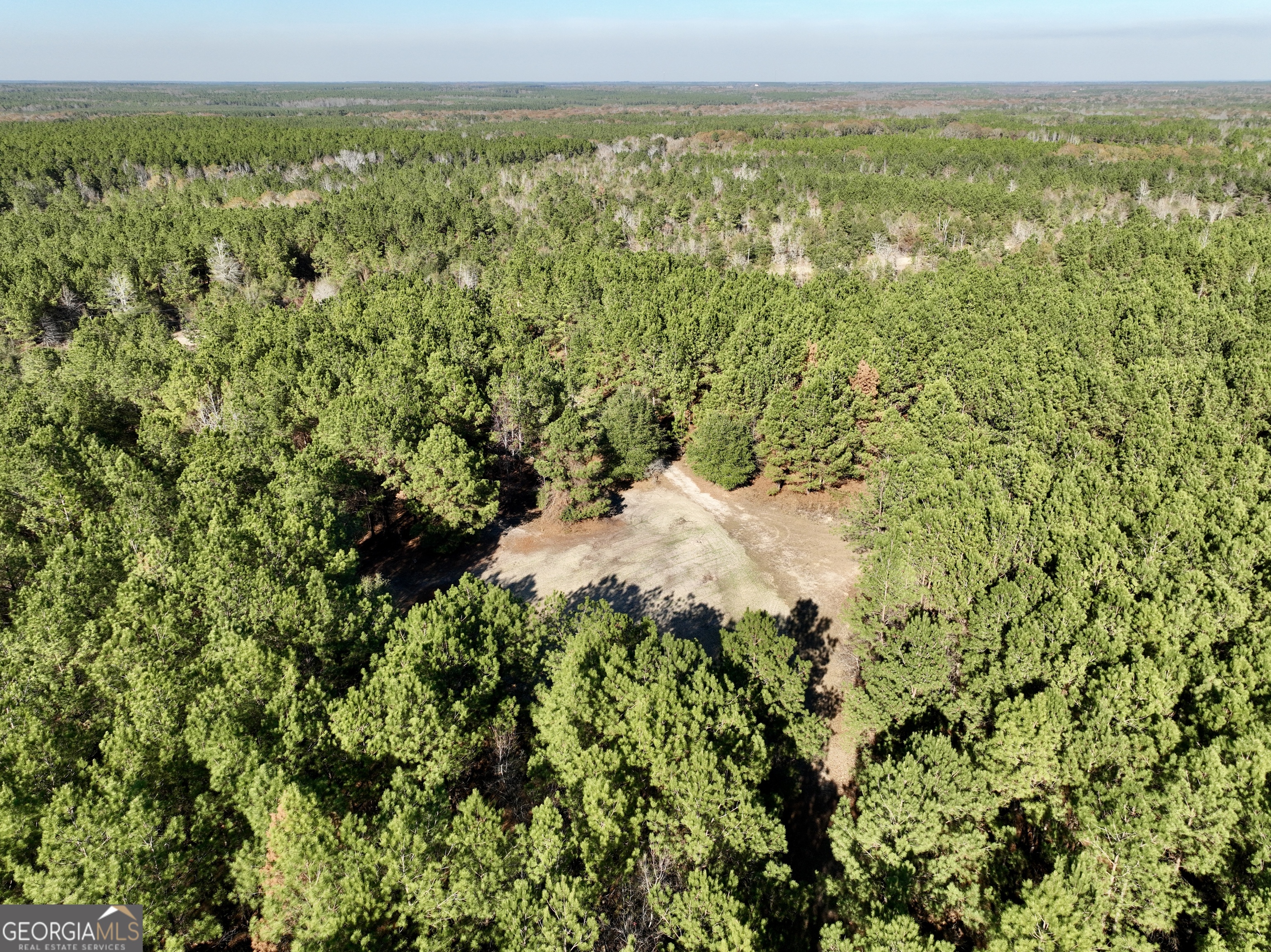 571 Sanders Cemetery Road Chauncey, GA 31011 - Photo 39 of 107 a view of a lake