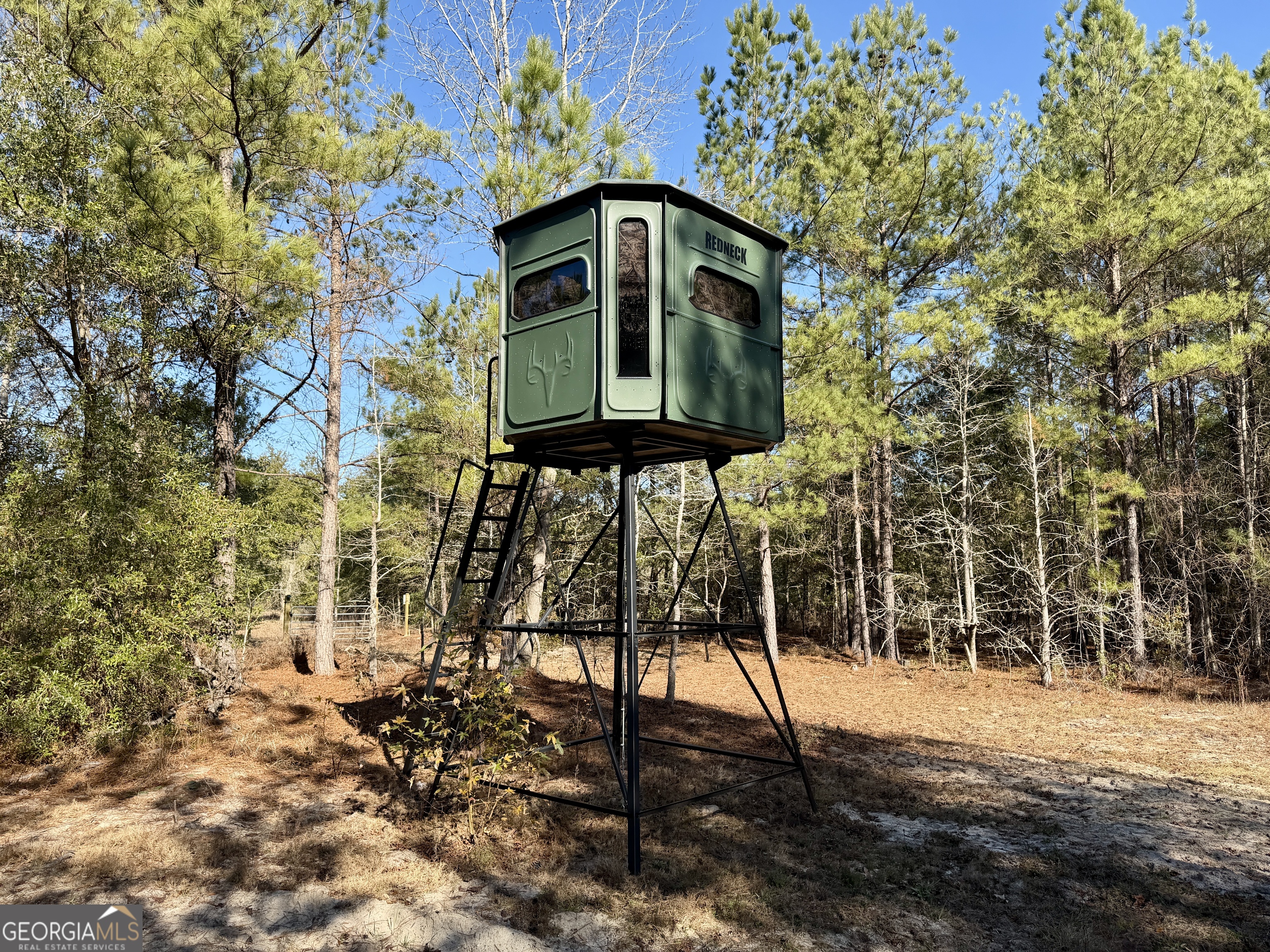 571 Sanders Cemetery Road Chauncey, GA 31011 - Photo 4 of 107 a front view of a house with a yard