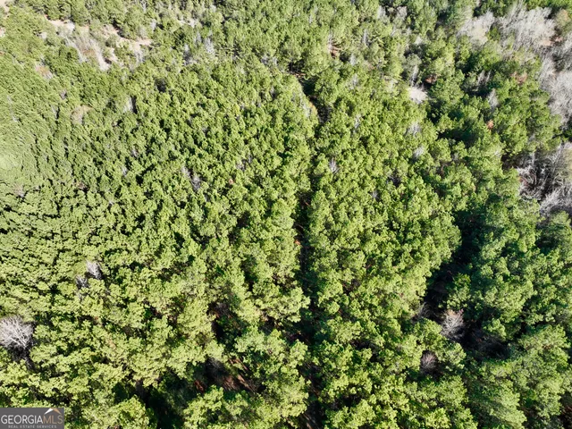 a view of a tree in the middle of a yard