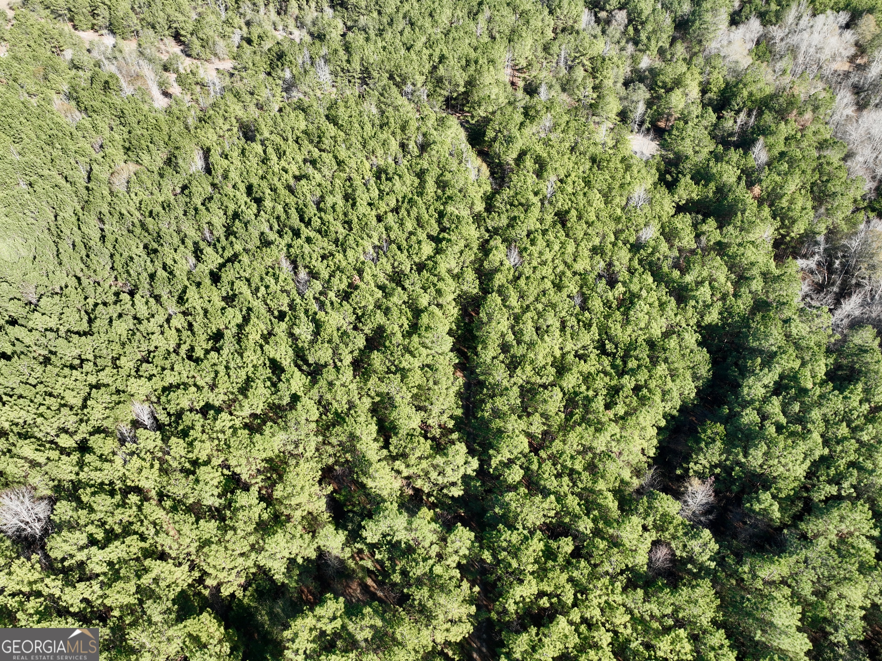 571 Sanders Cemetery Road Chauncey, GA 31011 - Photo 41 of 107
