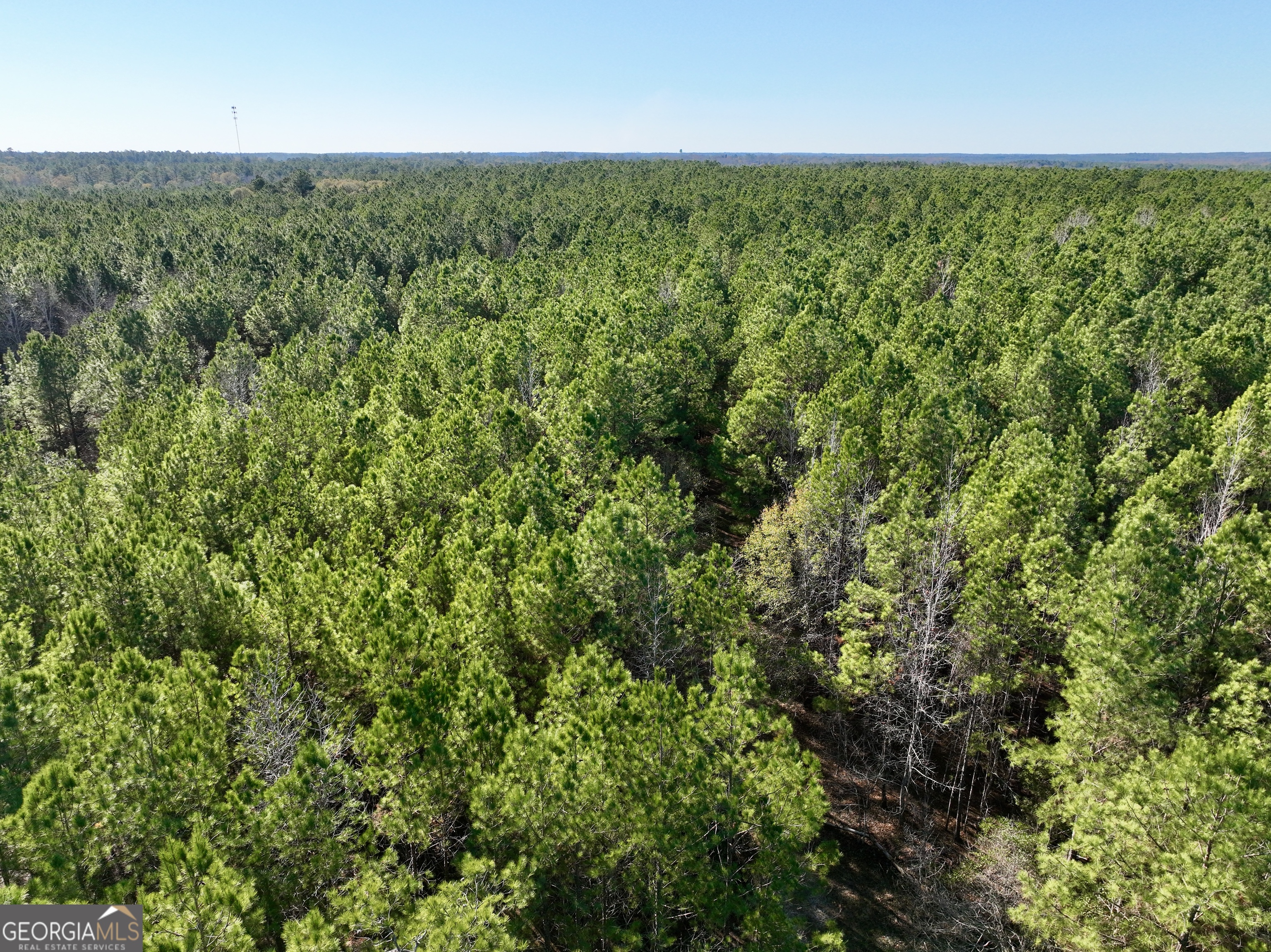 571 Sanders Cemetery Road Chauncey, GA 31011 - Photo 42 of 107