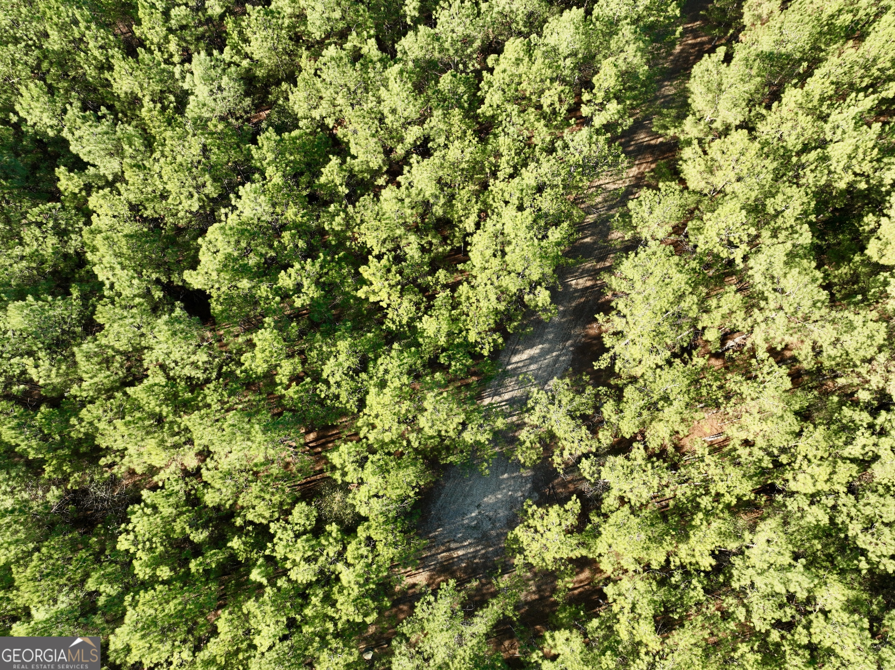571 Sanders Cemetery Road Chauncey, GA 31011 - Photo 44 of 107