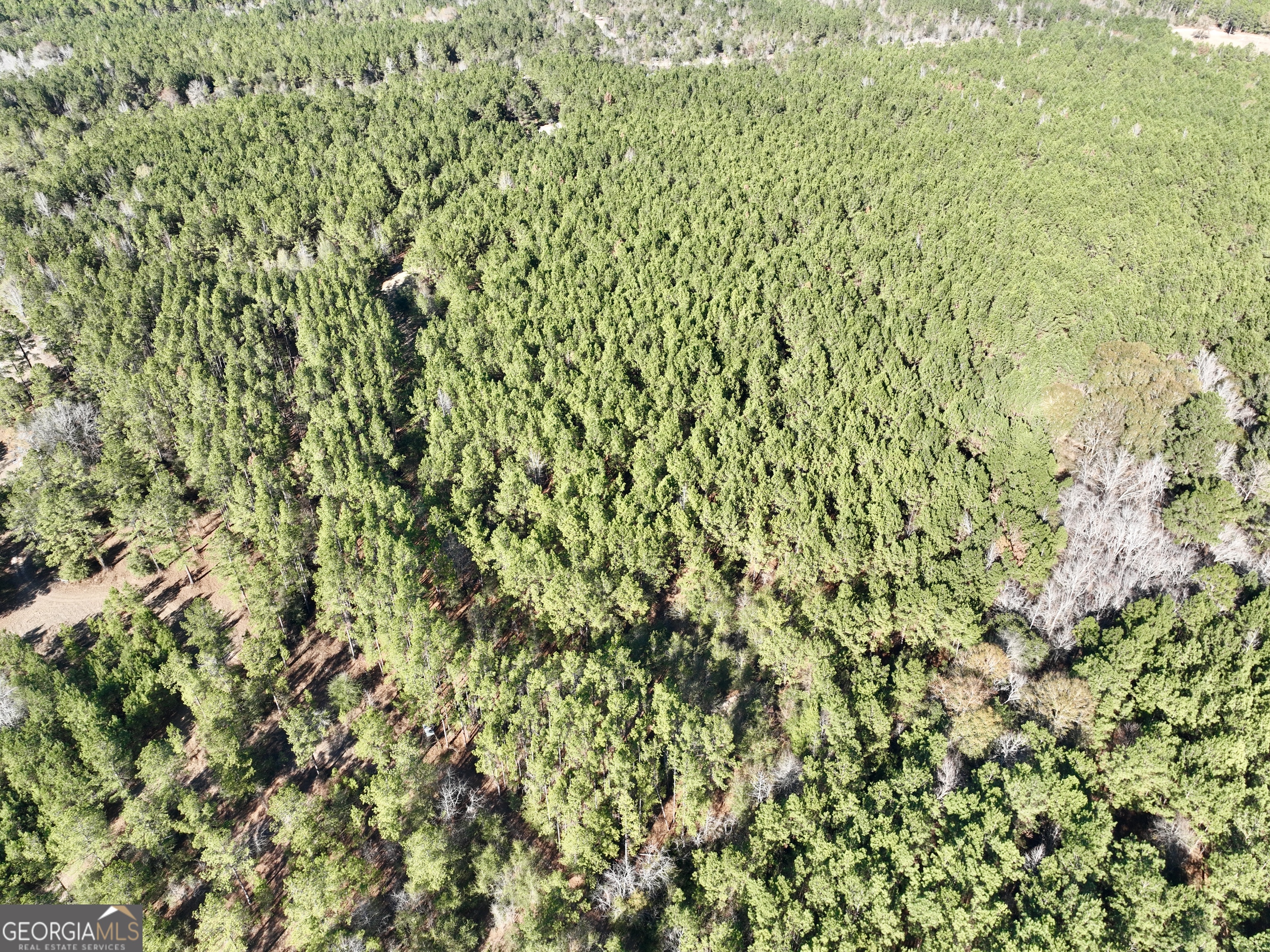 571 Sanders Cemetery Road Chauncey, GA 31011 - Photo 45 of 107