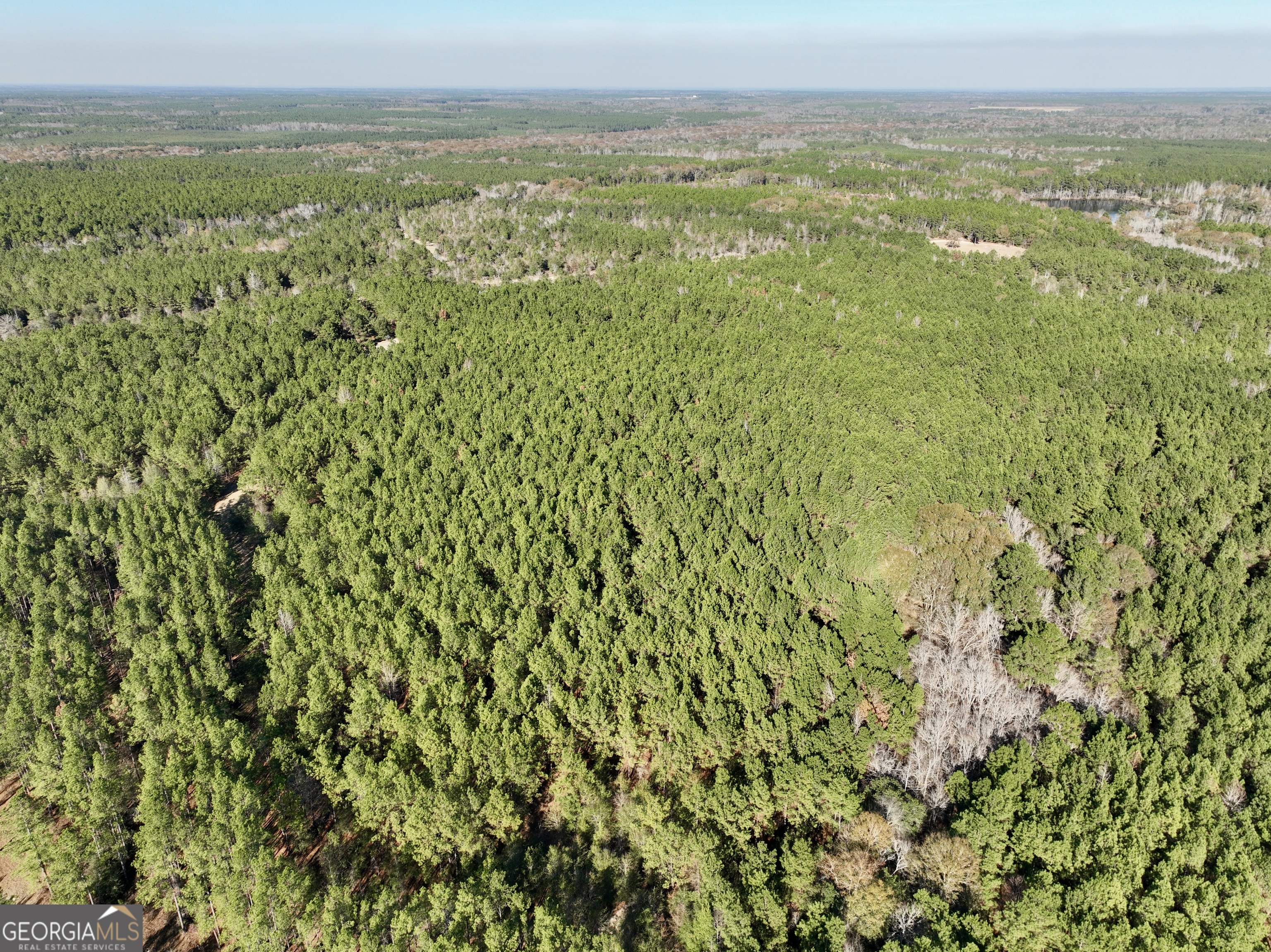 571 Sanders Cemetery Road Chauncey, GA 31011 - Photo 46 of 107
