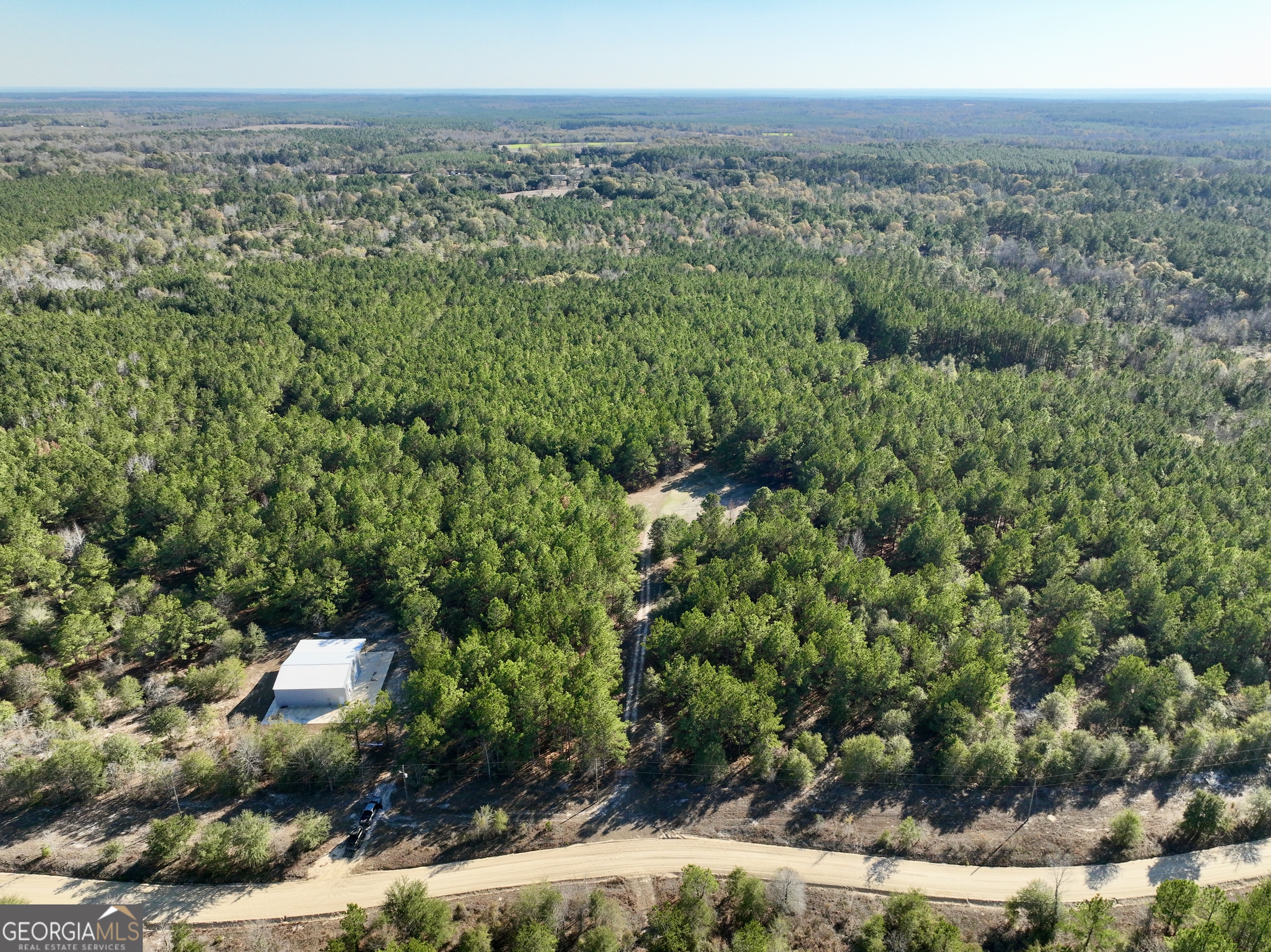 571 Sanders Cemetery Road Chauncey, GA 31011 - Photo 48 of 107