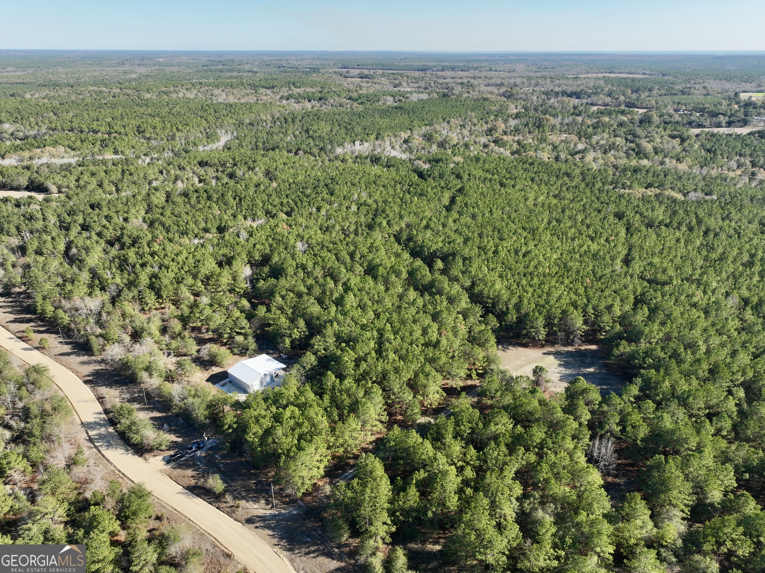571 Sanders Cemetery Road Chauncey, GA 31011 - Photo 49 of 107 a view of a green field