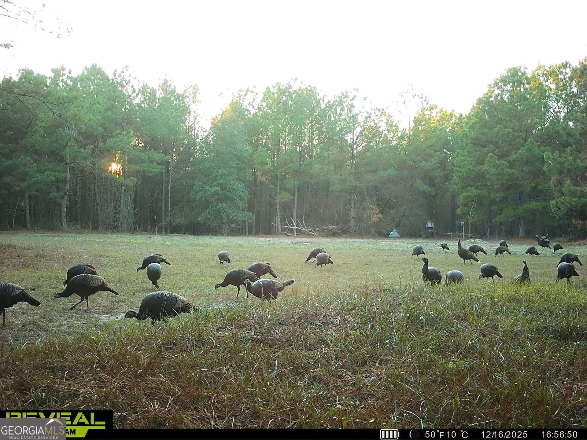 571 Sanders Cemetery Road Chauncey, GA 31011 - Photo 5 of 107