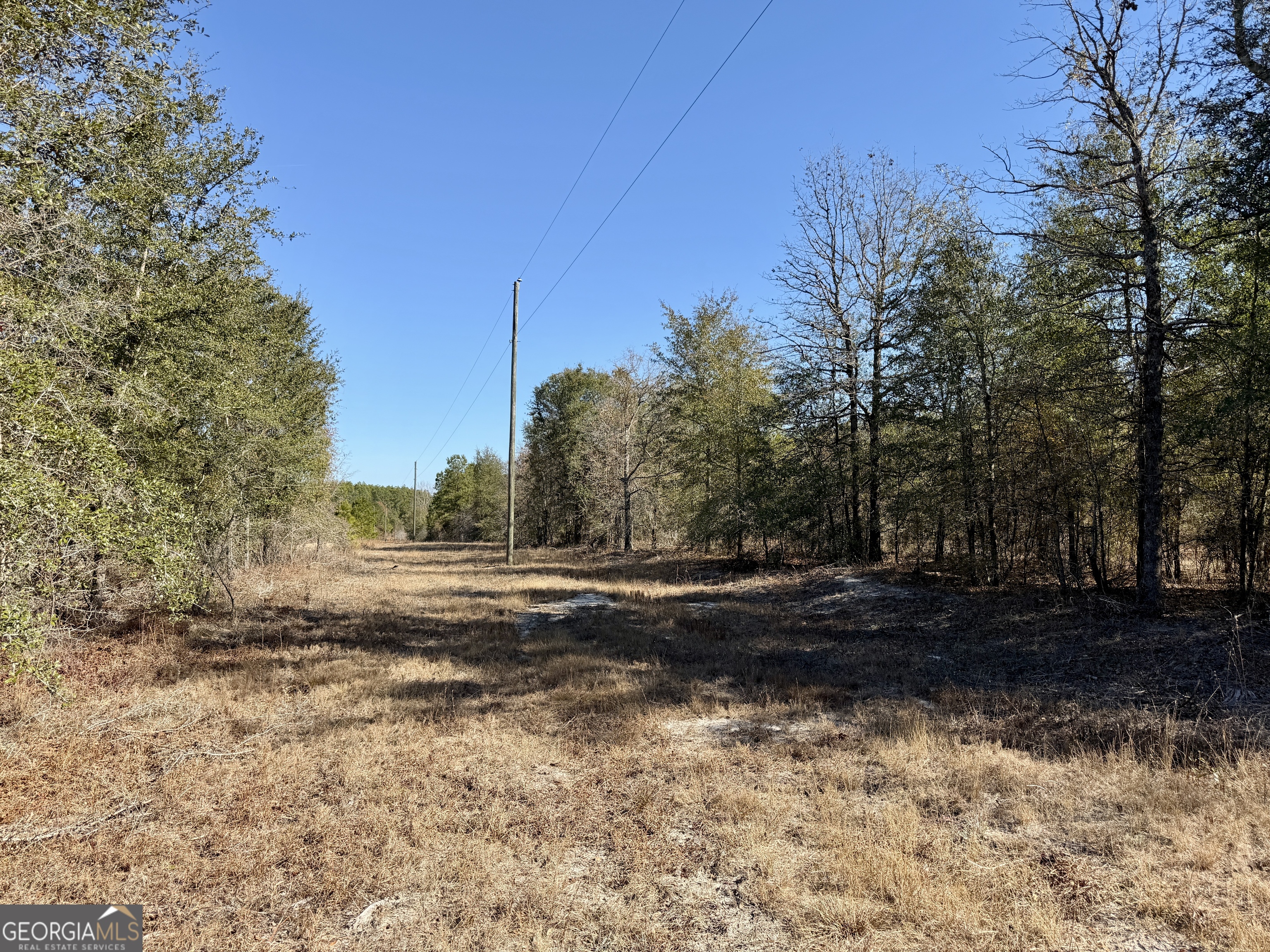 571 Sanders Cemetery Road Chauncey, GA 31011 - Photo 51 of 107