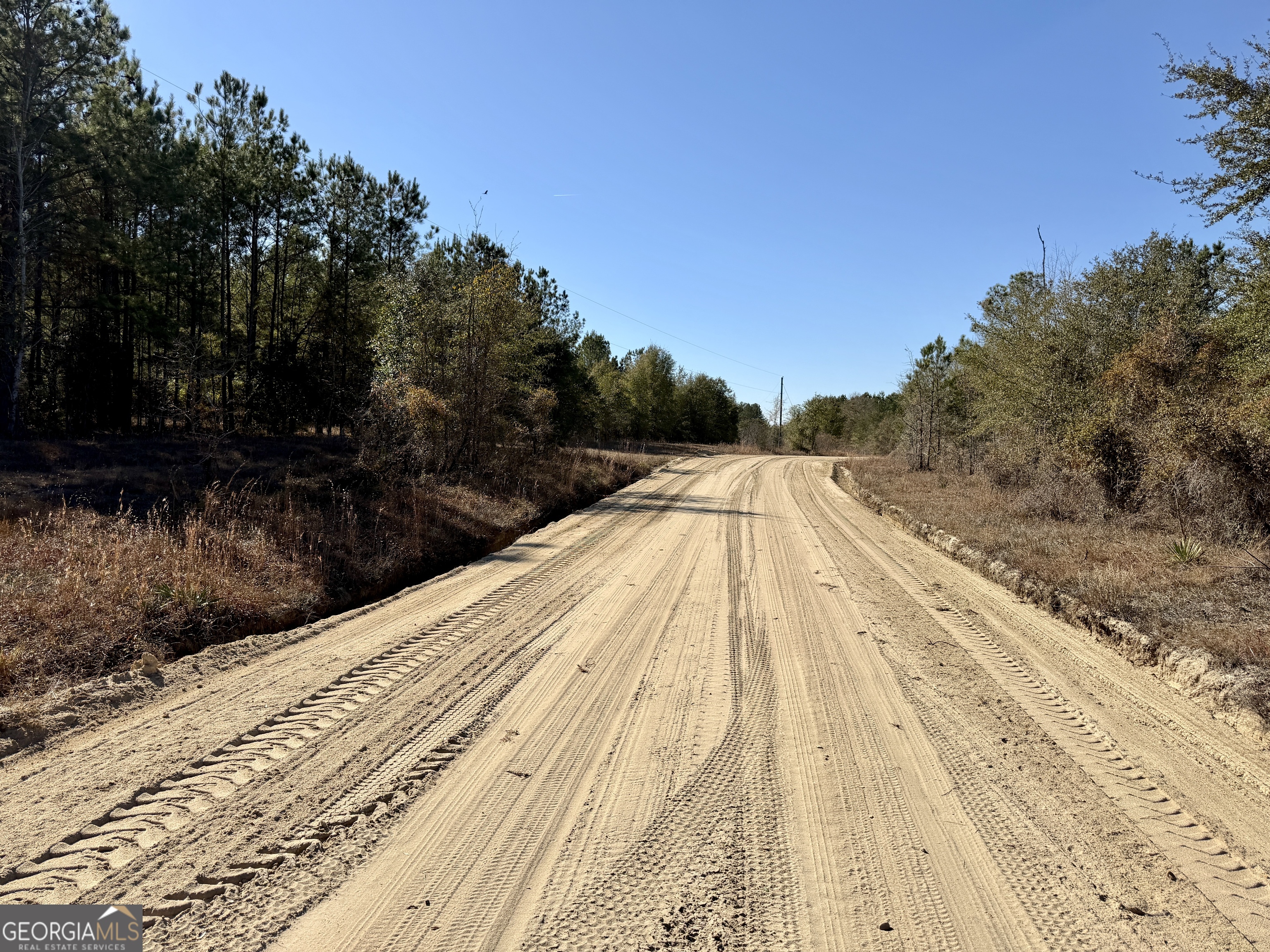 571 Sanders Cemetery Road Chauncey, GA 31011 - Photo 52 of 107