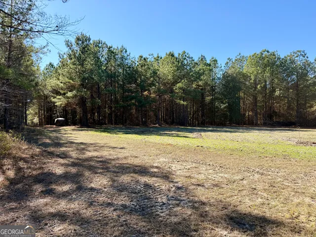 $550,000 | 571 Sanders Cemetery Road, Chauncey, GA 31011