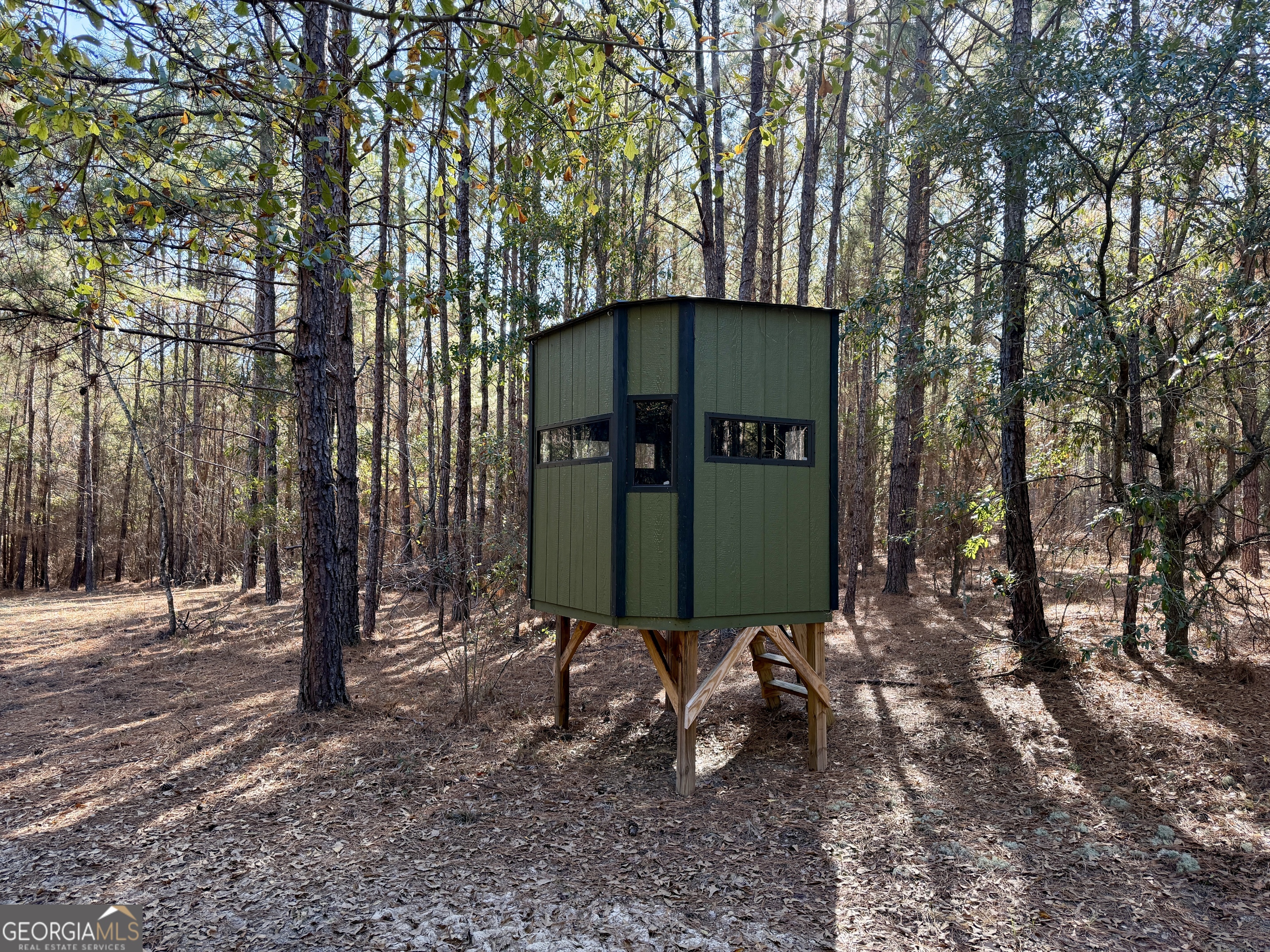 571 Sanders Cemetery Road Chauncey, GA 31011 - Photo 7 of 107 a view of a two chairs in a park