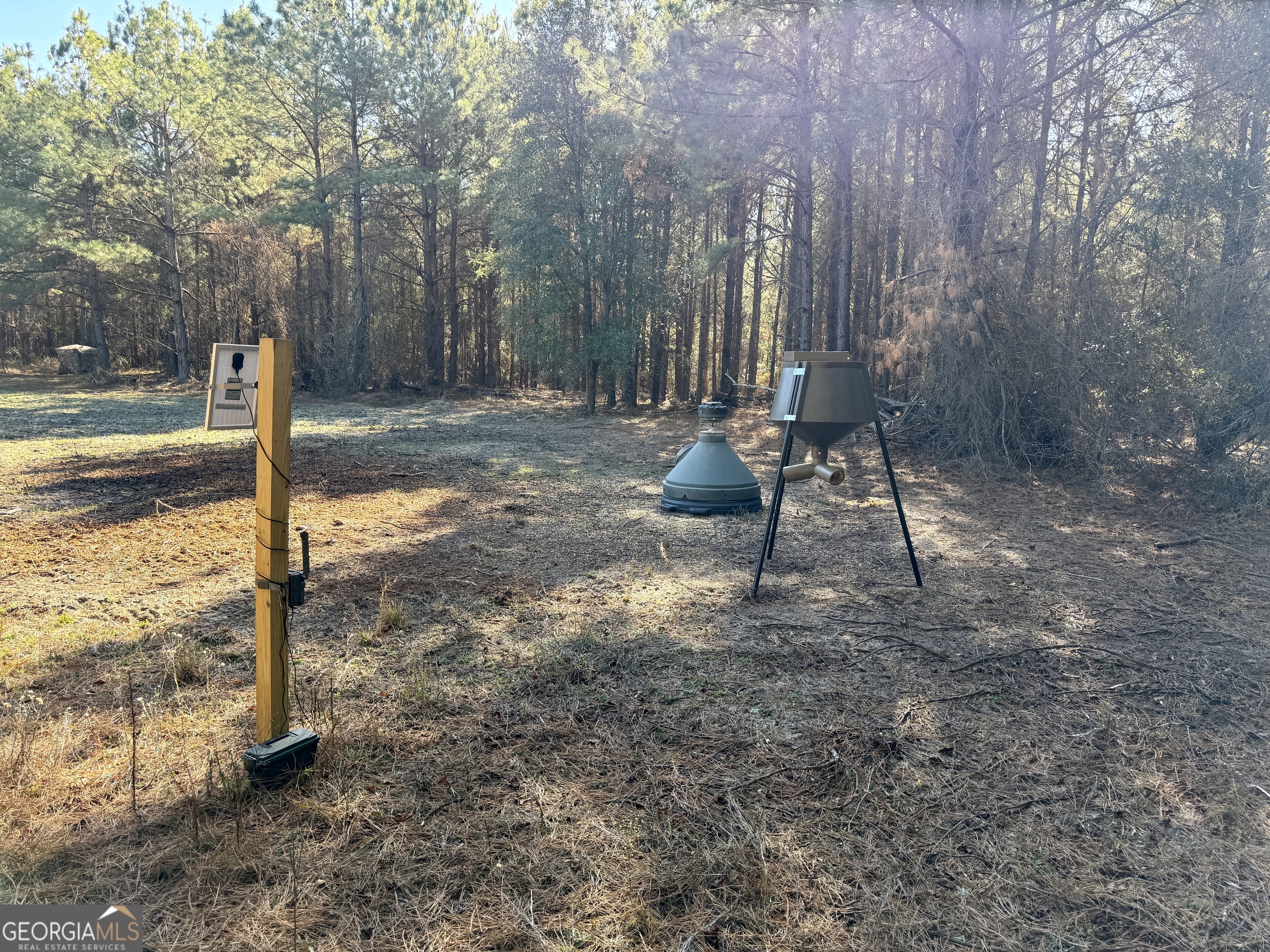 571 Sanders Cemetery Road Chauncey, GA 31011 - Photo 71 of 107 a backyard of a house with table and chairs