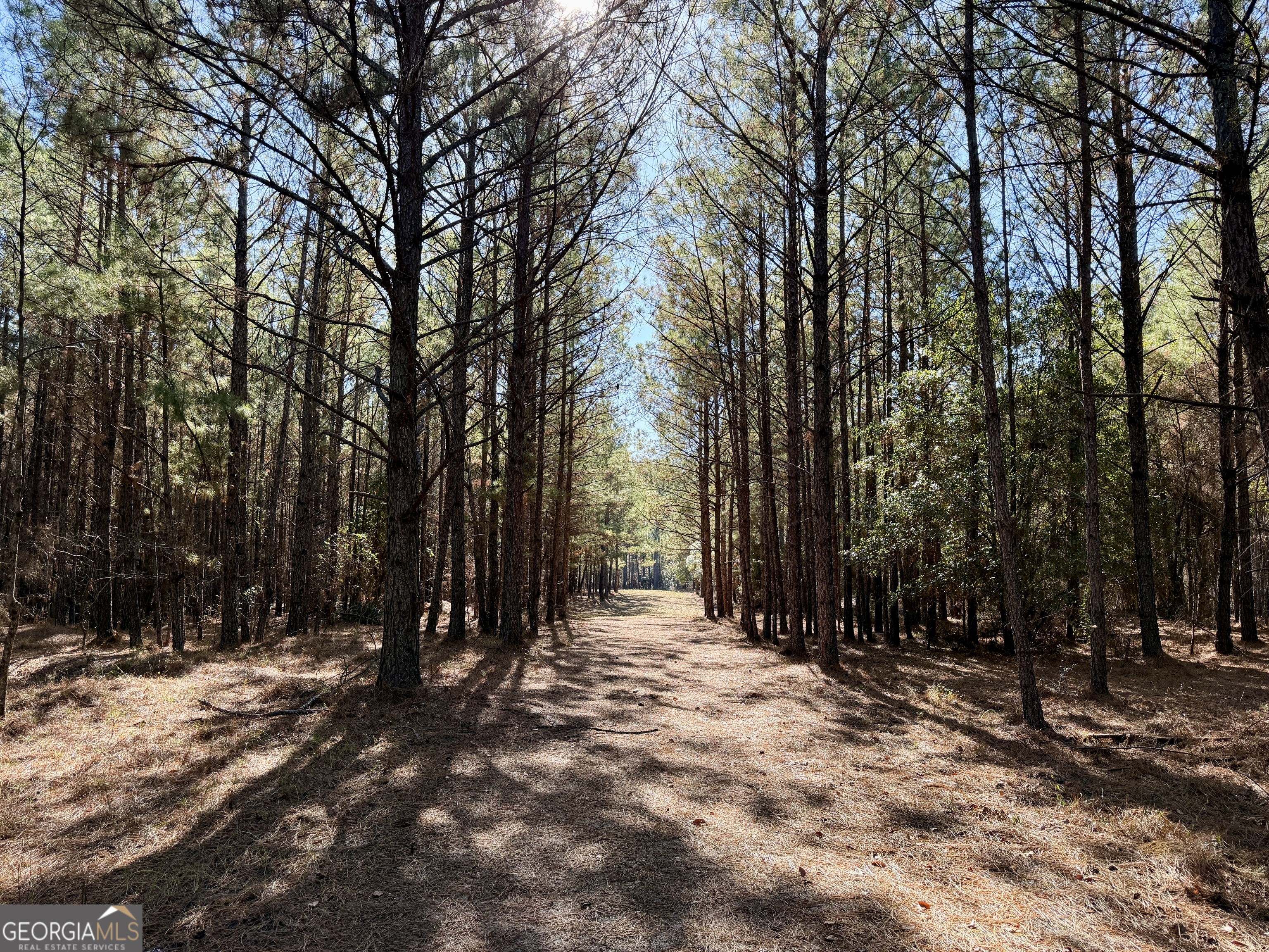 571 Sanders Cemetery Road Chauncey, GA 31011 - Photo 72 of 107