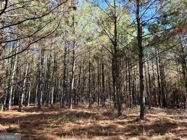 $550,000 | 571 Sanders Cemetery Road, Chauncey, GA 31011