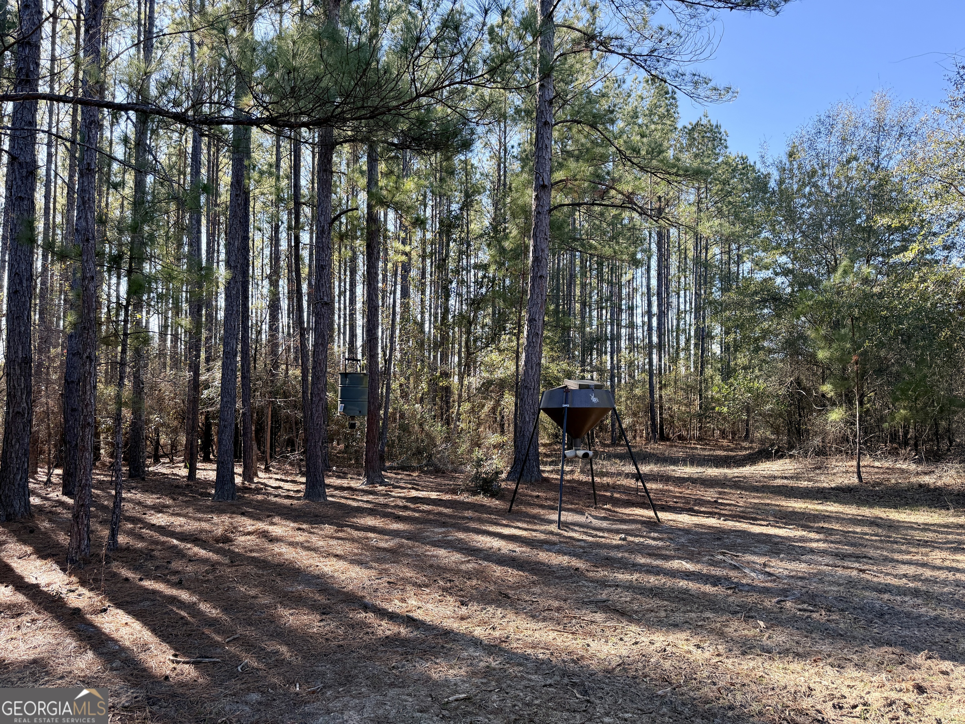 571 Sanders Cemetery Road Chauncey, GA 31011 - Photo 74 of 107 a view of outdoor space with street view