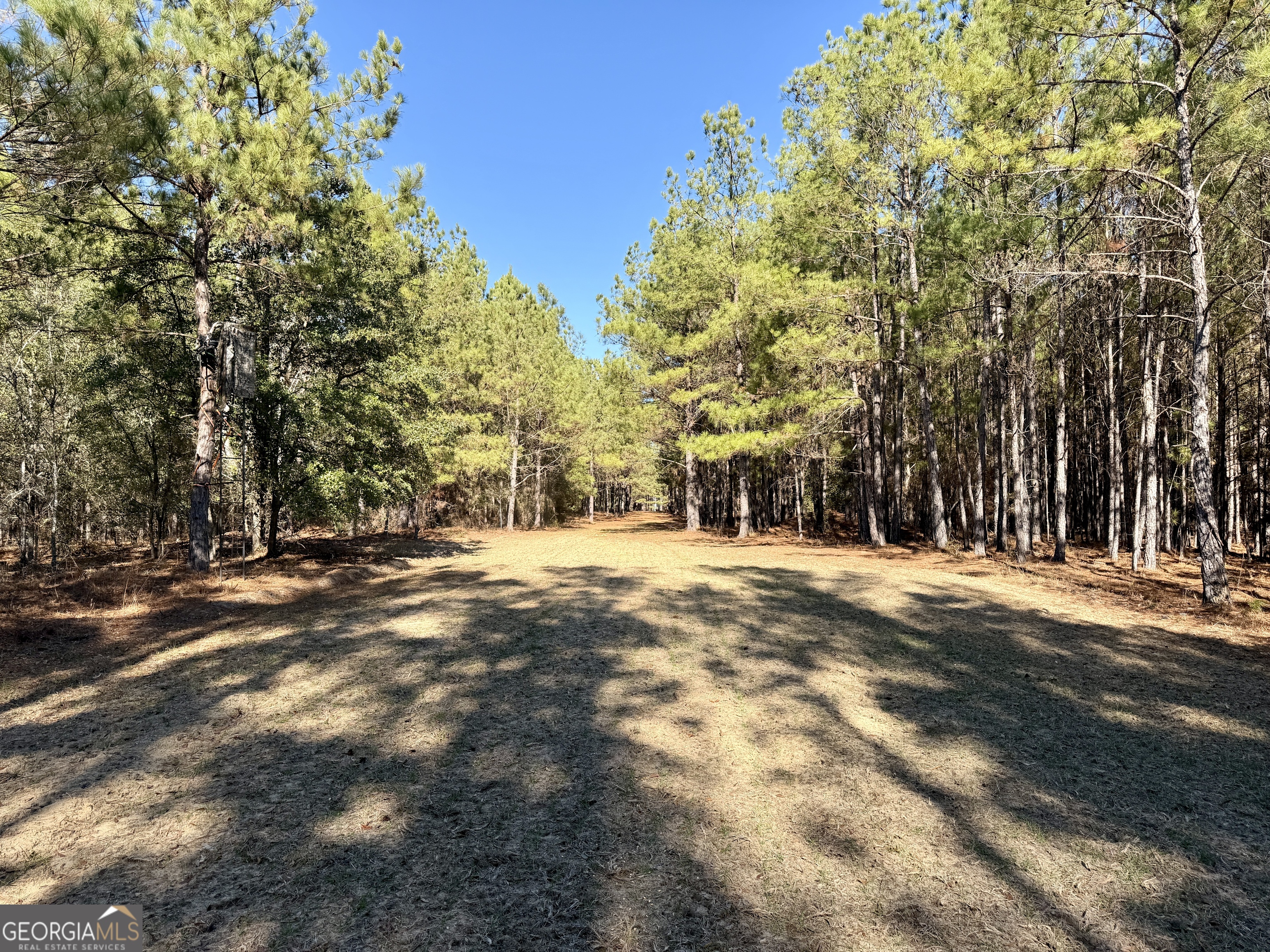 571 Sanders Cemetery Road Chauncey, GA 31011 - Photo 75 of 107