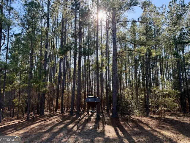 $550,000 | 571 Sanders Cemetery Road, Chauncey, GA 31011