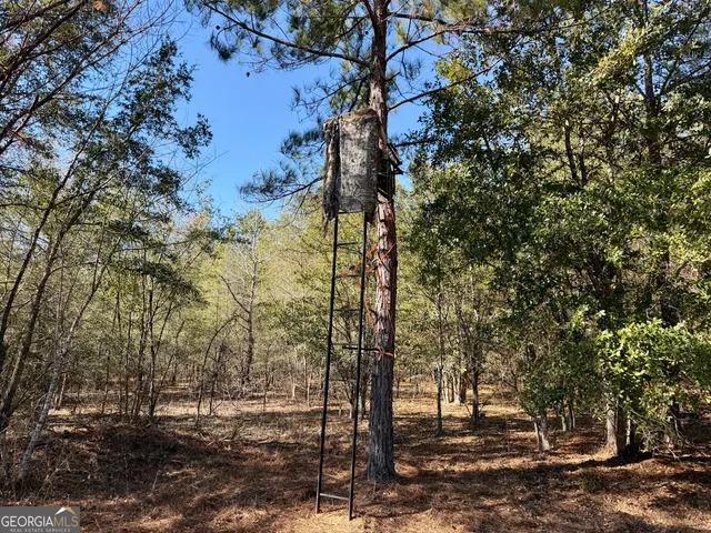 $550,000 | 571 Sanders Cemetery Road, Chauncey, GA 31011