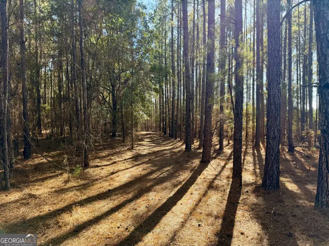 $550,000 | 571 Sanders Cemetery Road, Chauncey, GA 31011