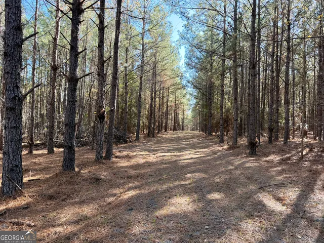 $550,000 | 571 Sanders Cemetery Road, Chauncey, GA 31011