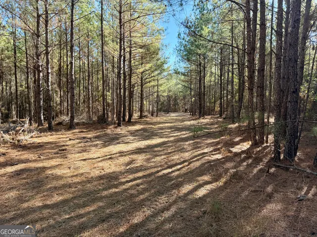 $550,000 | 571 Sanders Cemetery Road, Chauncey, GA 31011