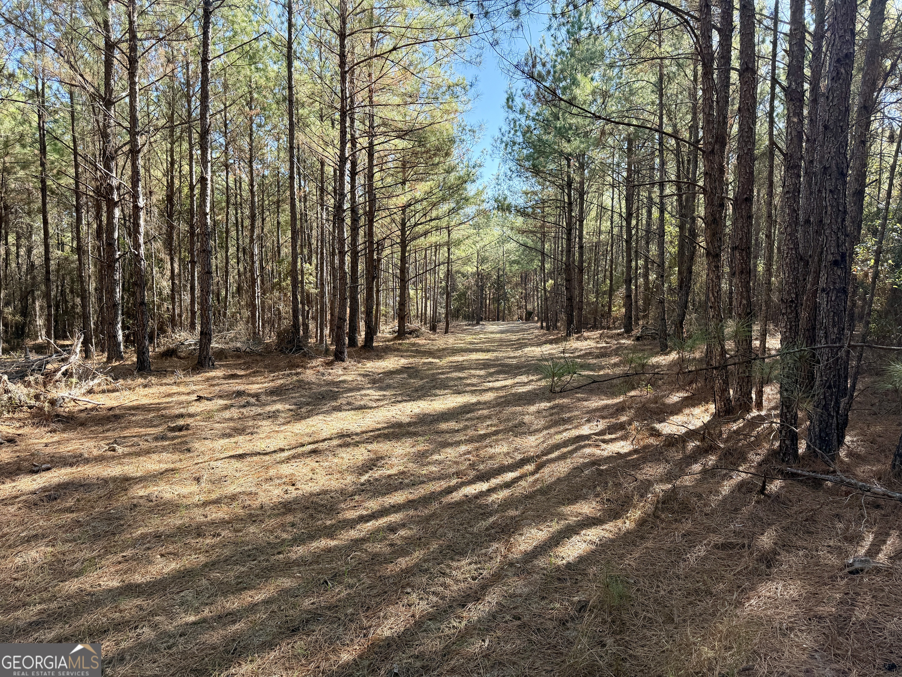571 Sanders Cemetery Road Chauncey, GA 31011 - Photo 80 of 107