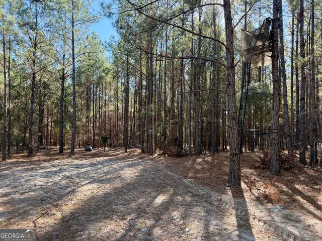 $550,000 | 571 Sanders Cemetery Road, Chauncey, GA 31011
