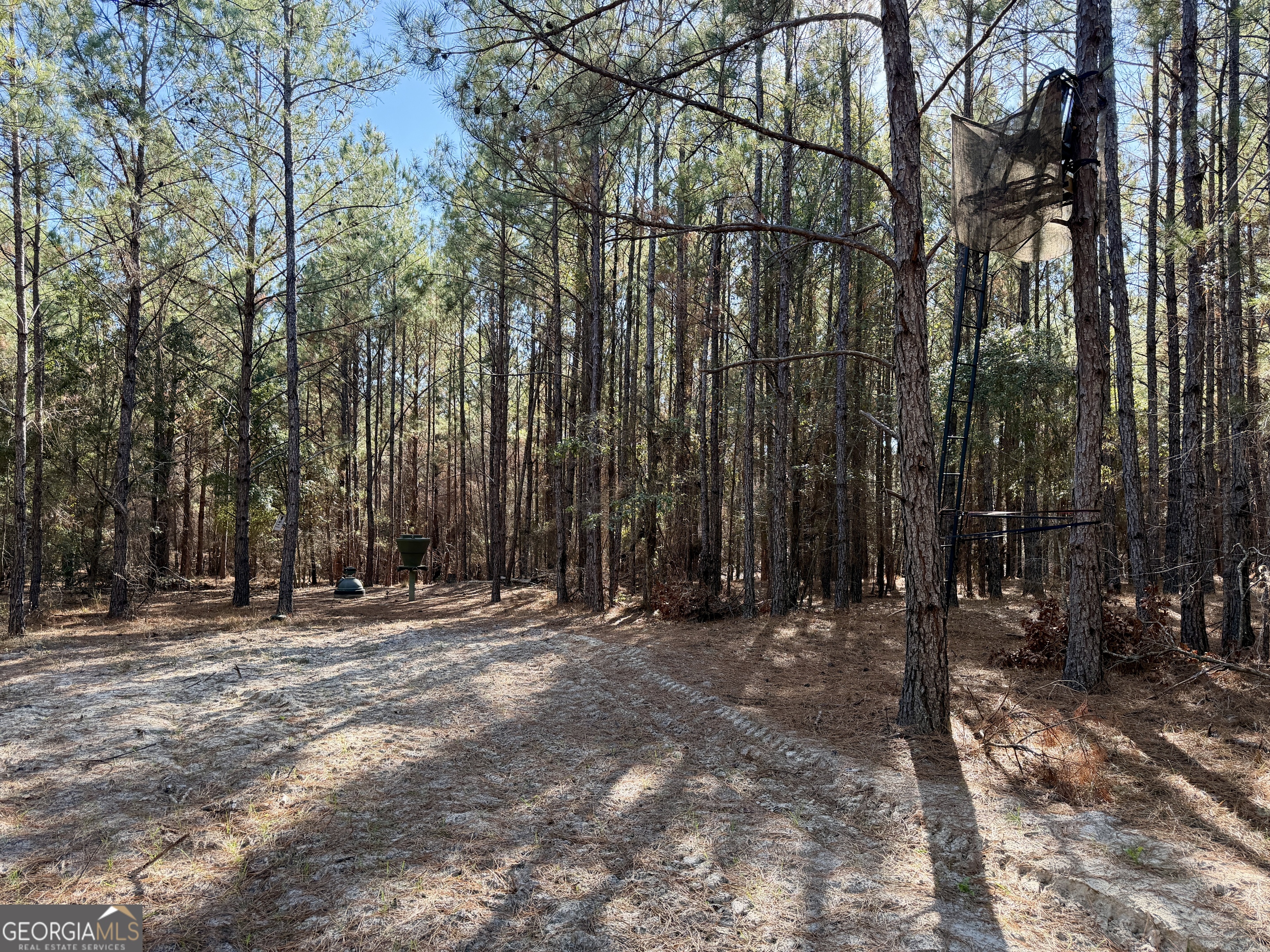 571 Sanders Cemetery Road Chauncey, GA 31011 - Photo 81 of 107 a view of outdoor space with trees